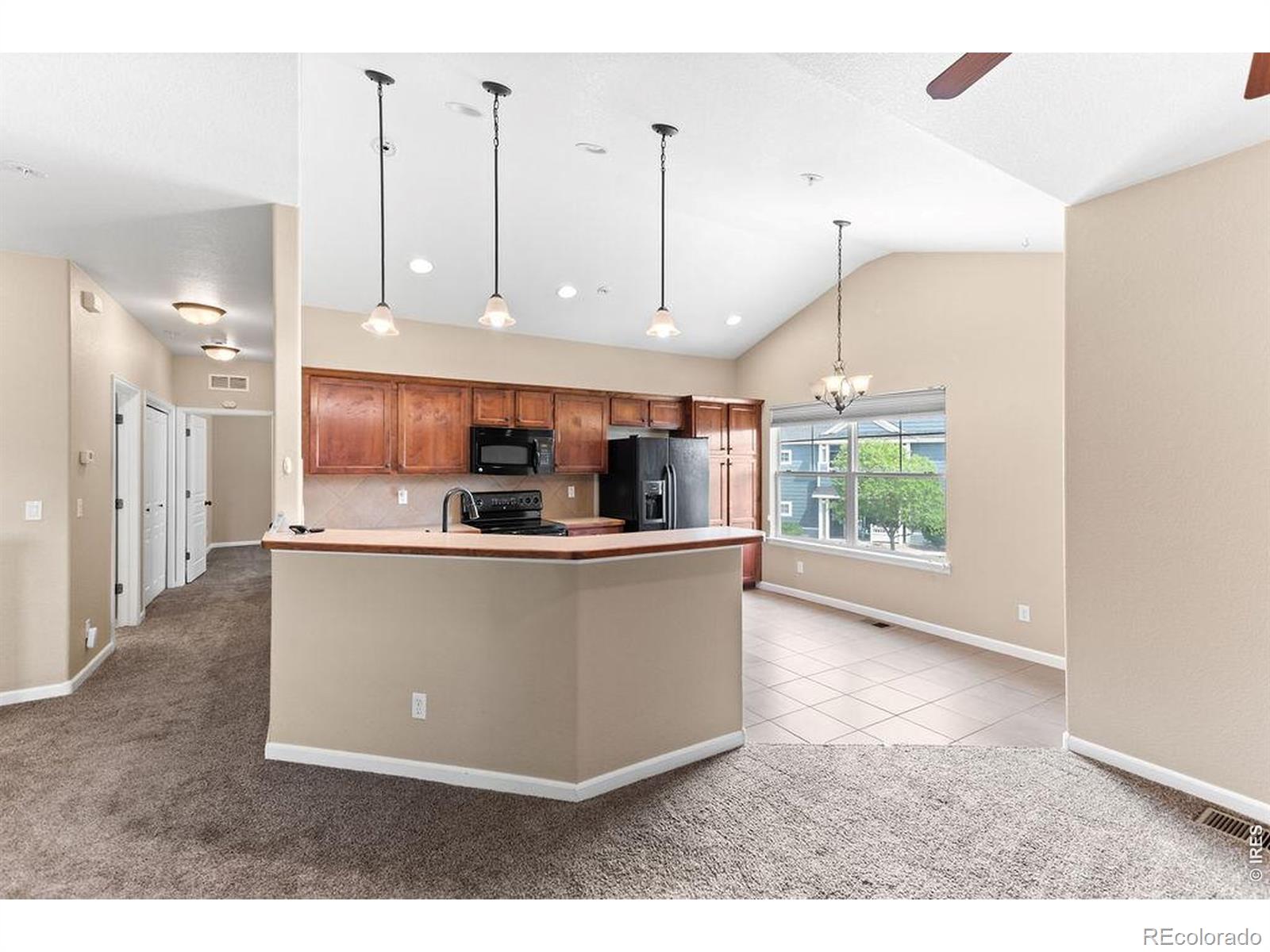 MLS Image #6 for 2179  cape hatteras drive,windsor, Colorado