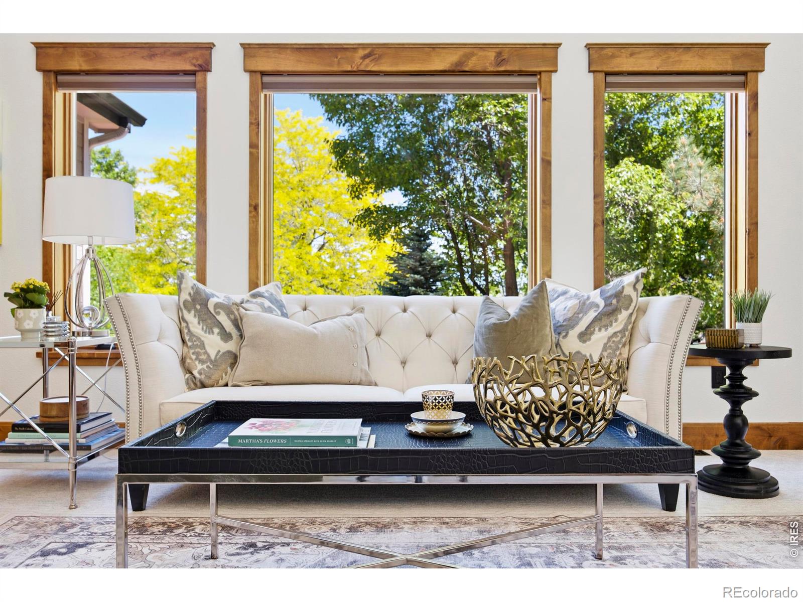 MLS Image #6 for 8228  benson court,fort collins, Colorado