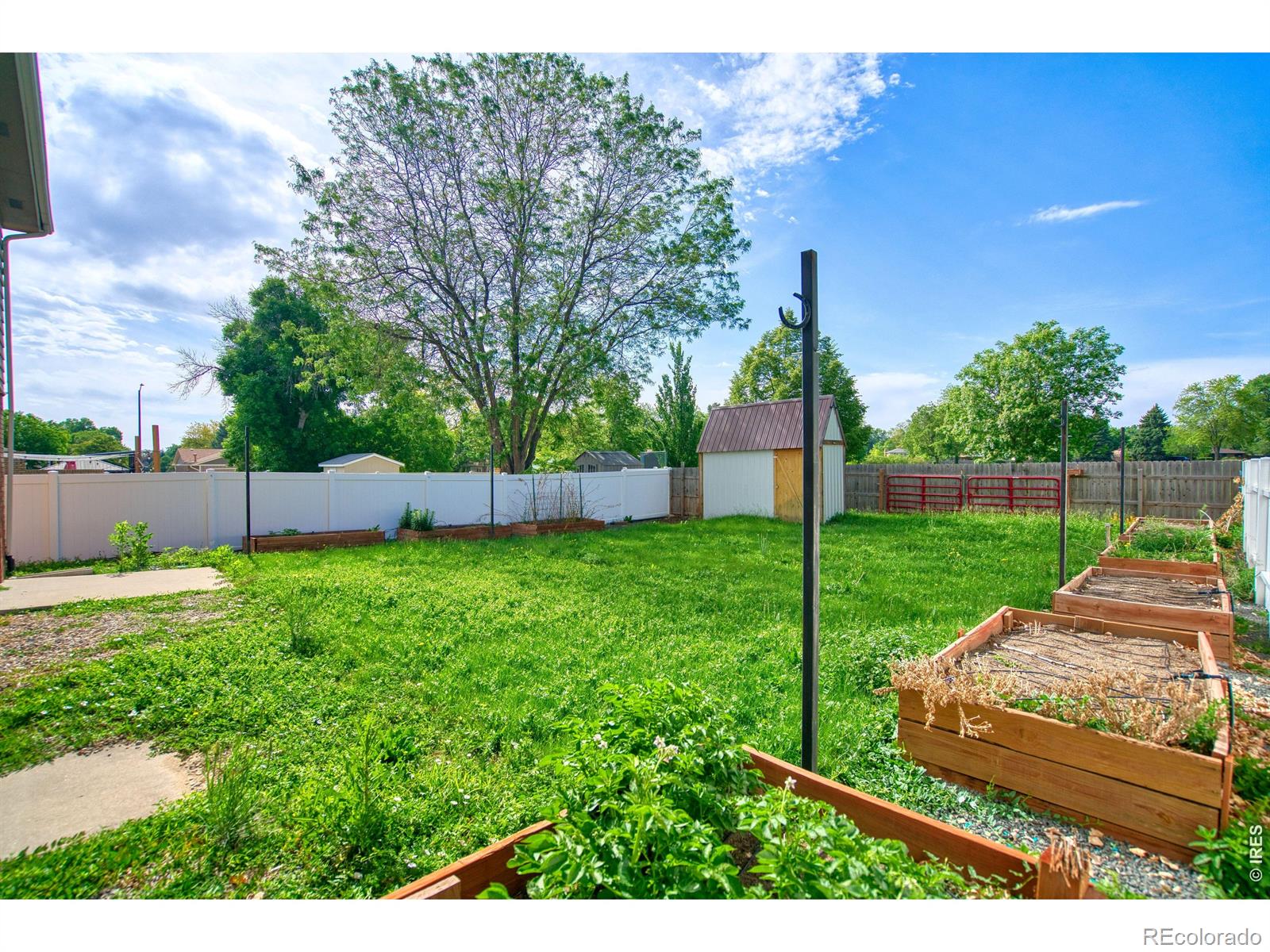 MLS Image #18 for 928  torrey pine place,loveland, Colorado