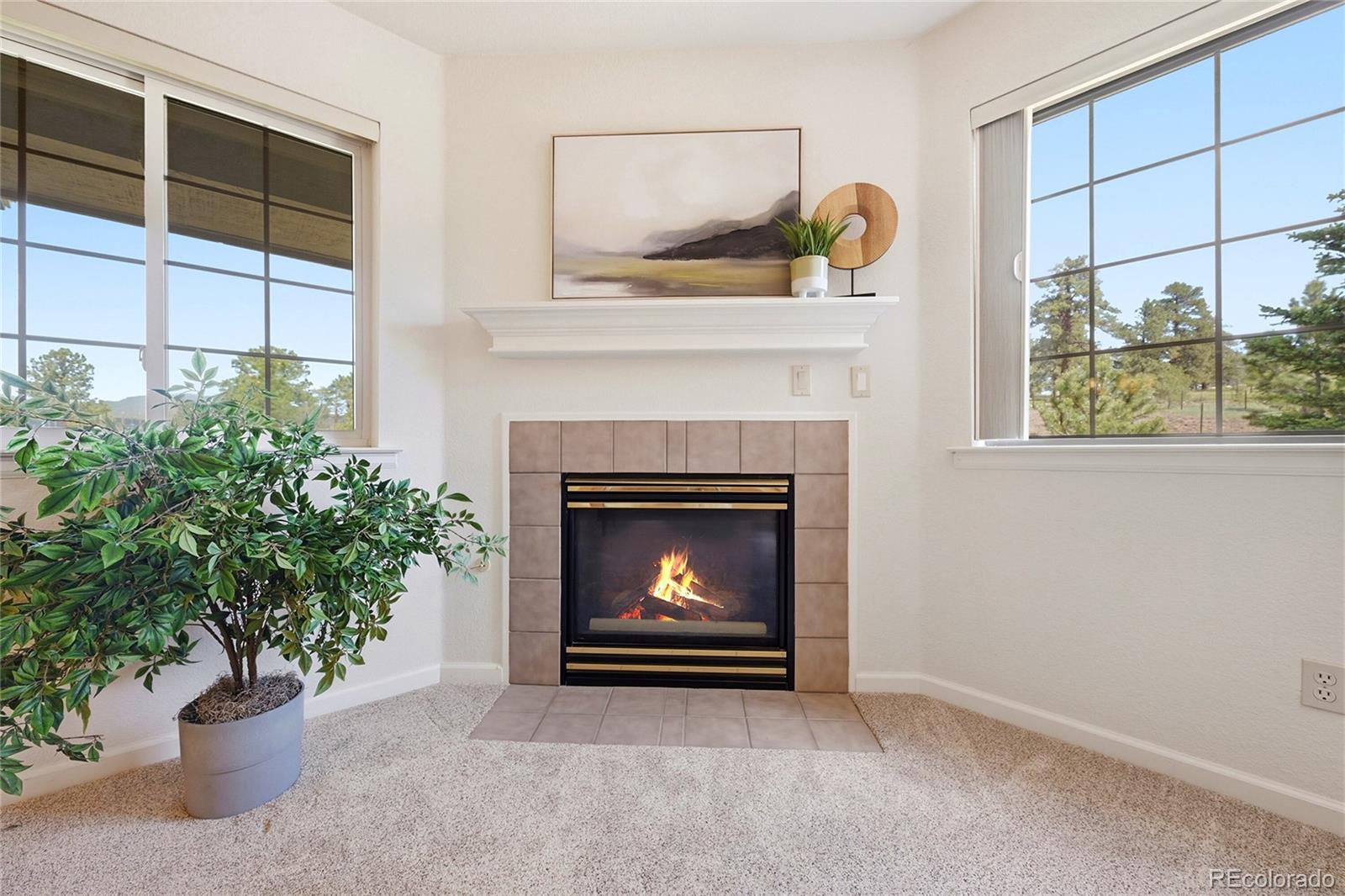 MLS Image #12 for 31719  rocky village drive,evergreen, Colorado