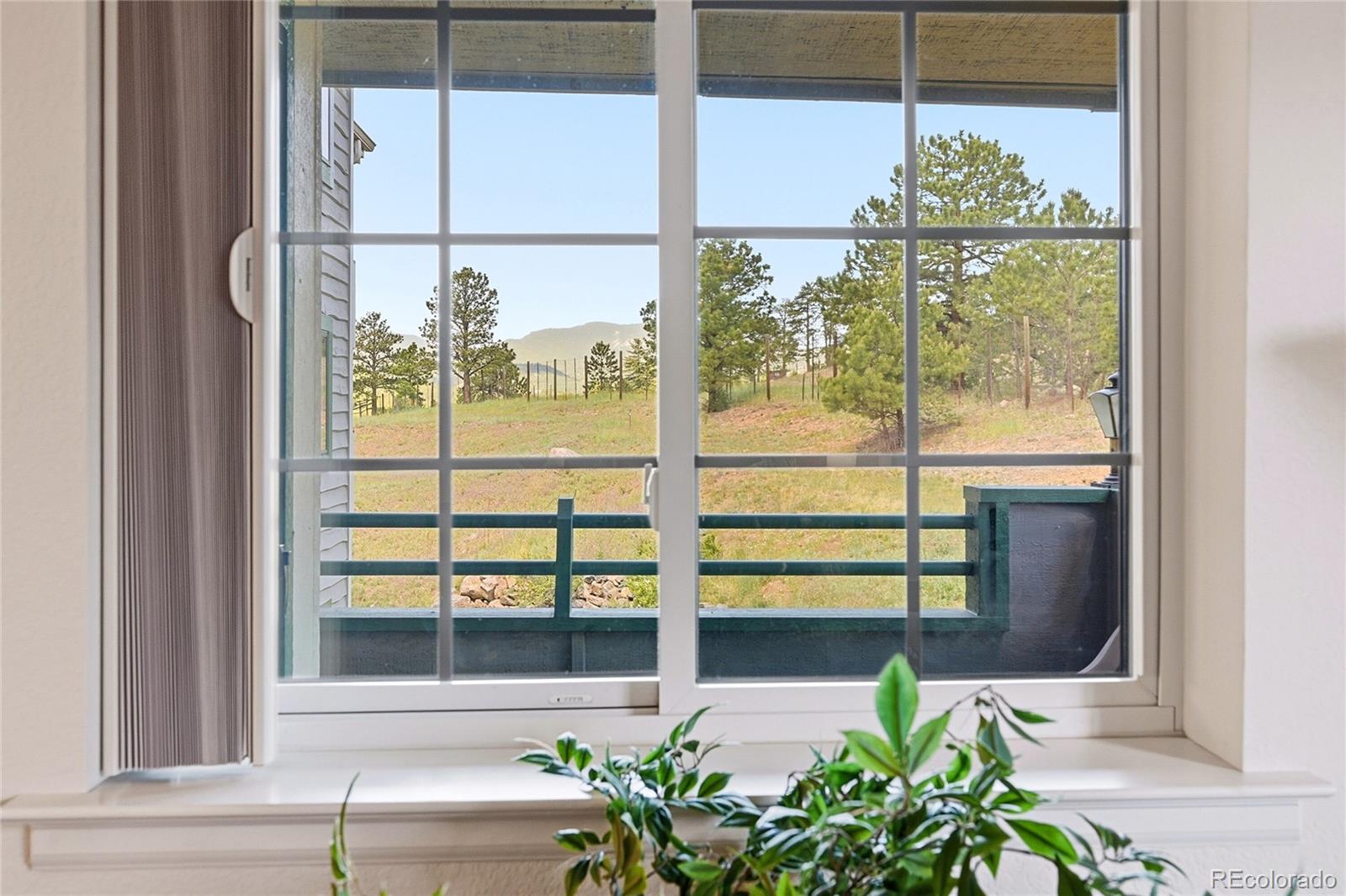MLS Image #13 for 31719  rocky village drive,evergreen, Colorado