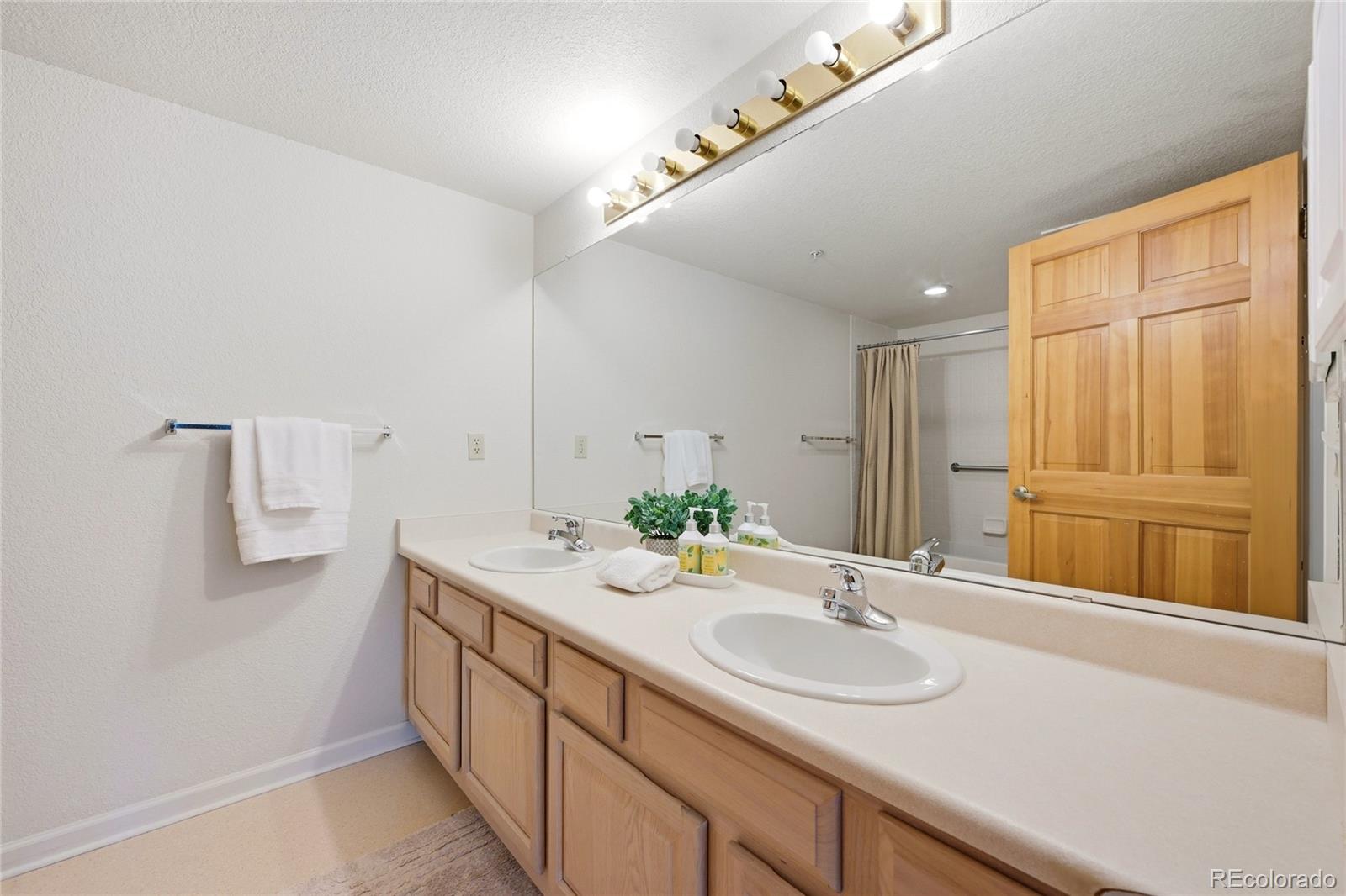MLS Image #17 for 31719  rocky village drive,evergreen, Colorado