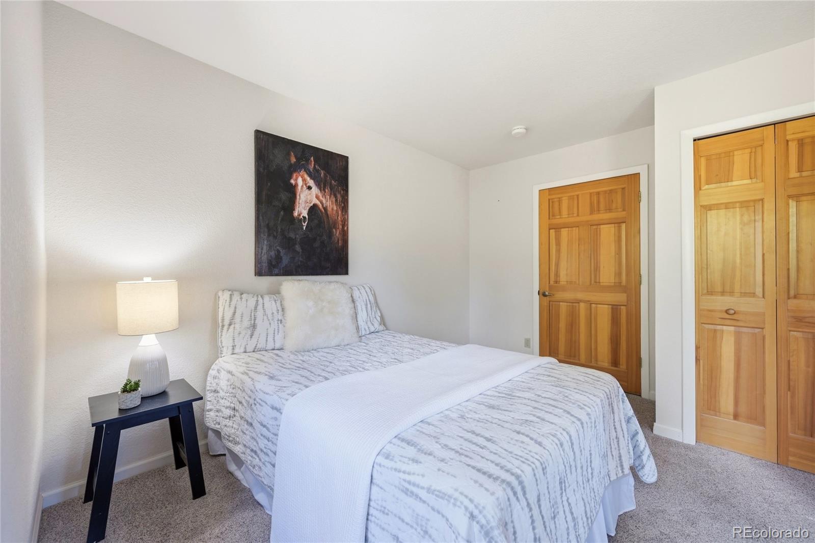 MLS Image #20 for 31719  rocky village drive,evergreen, Colorado