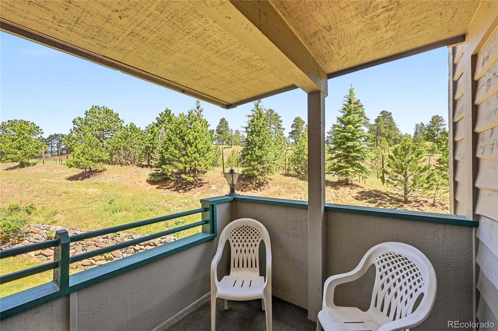 MLS Image #40 for 31719  rocky village drive,evergreen, Colorado