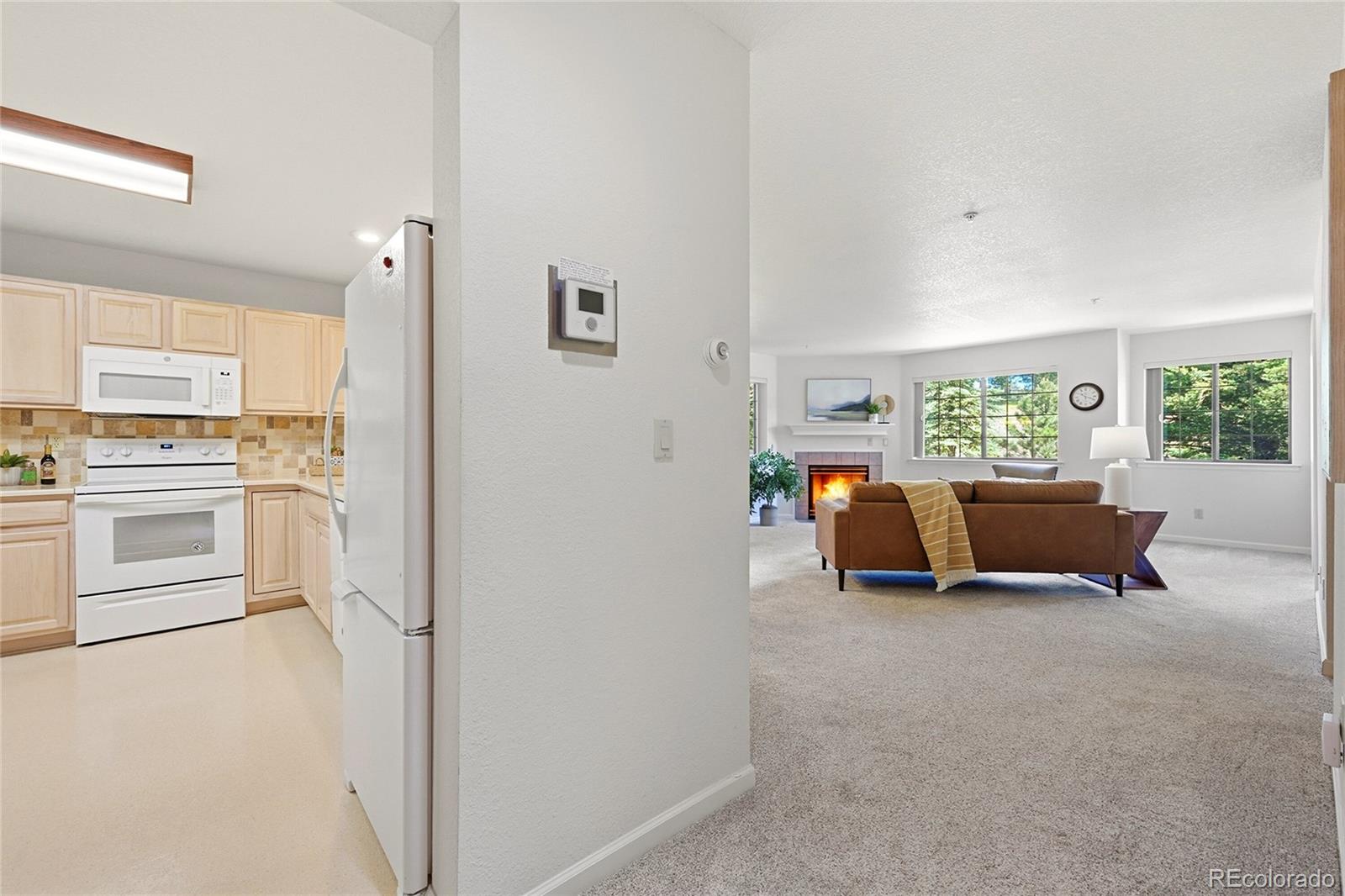 MLS Image #7 for 31719  rocky village drive,evergreen, Colorado