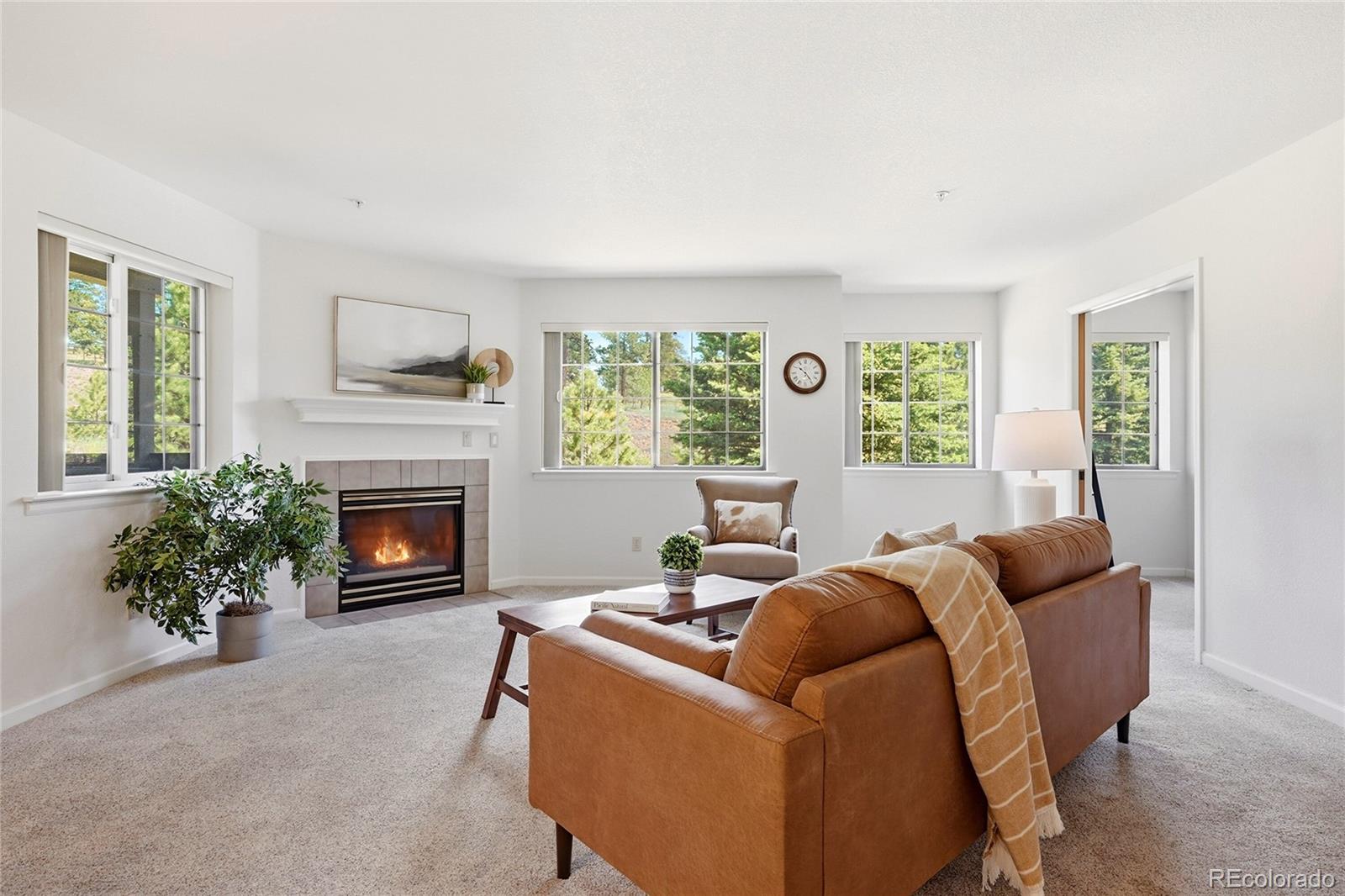 MLS Image #9 for 31719  rocky village drive,evergreen, Colorado