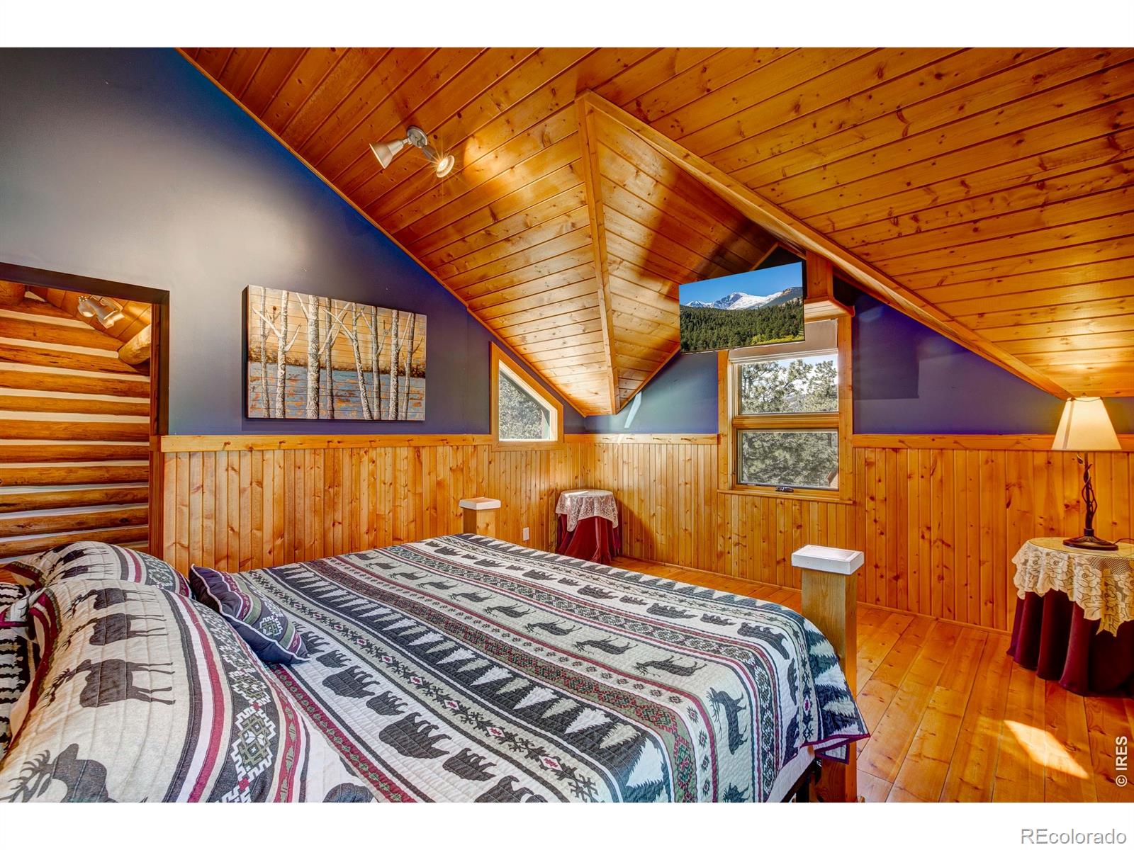 MLS Image #26 for 1264  range view road,estes park, Colorado