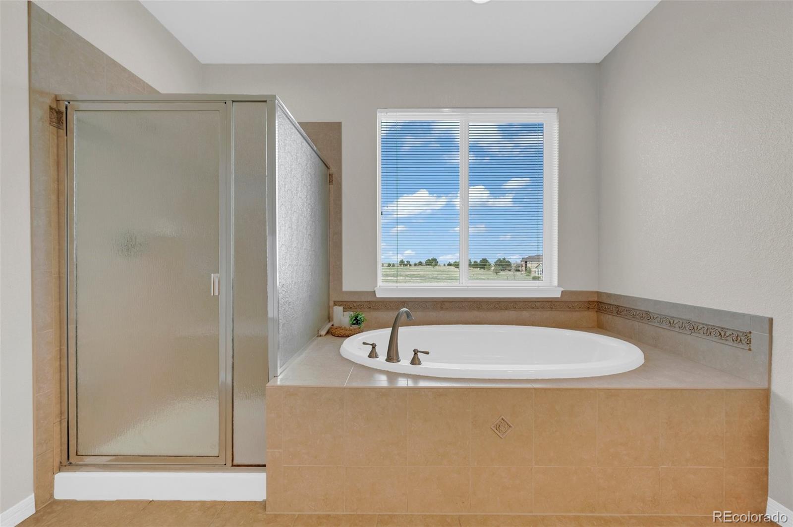 MLS Image #18 for 2382  antelope ridge trail,parker, Colorado