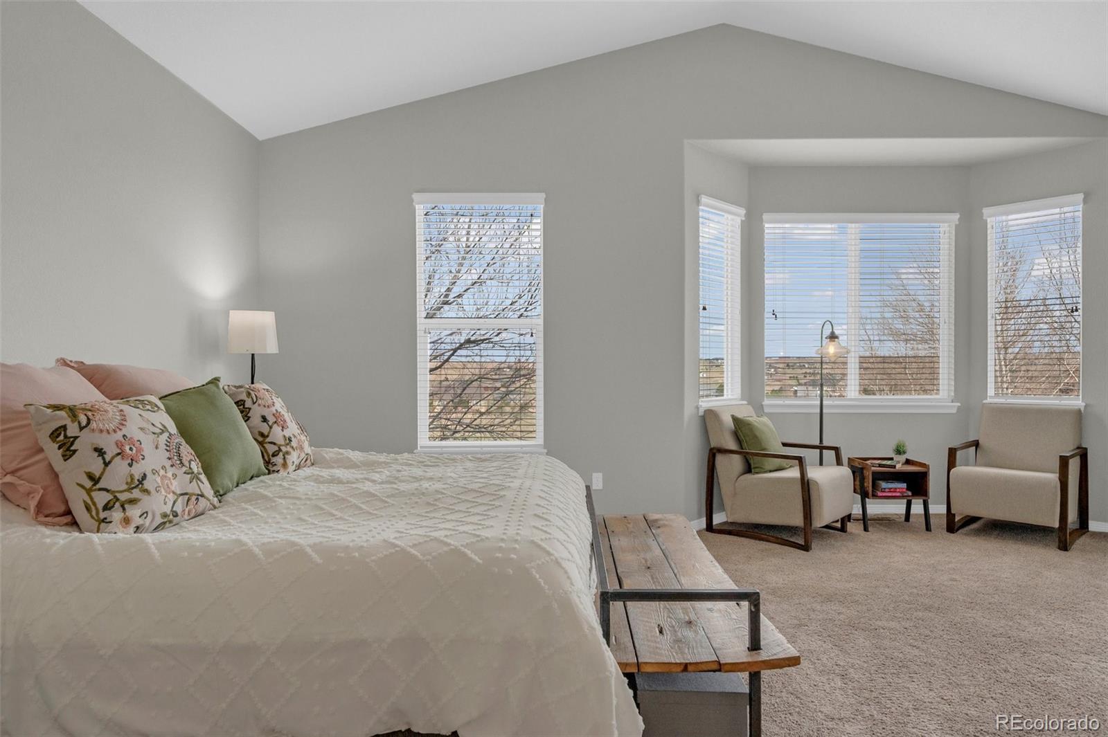 MLS Image #21 for 2382  antelope ridge trail,parker, Colorado
