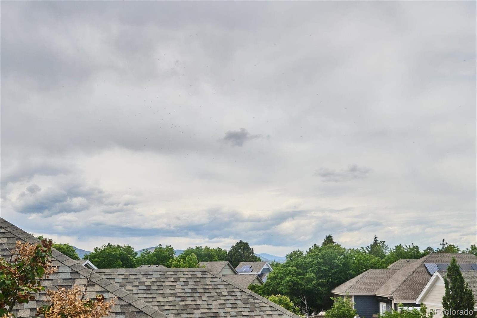 MLS Image #32 for 6900 w grant ranch boulevard,littleton, Colorado