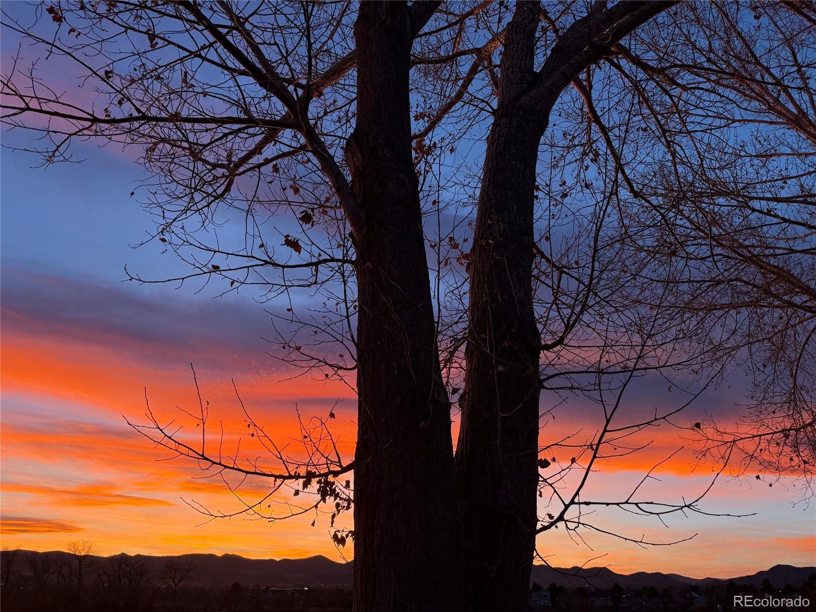MLS Image #42 for 6900 w grant ranch boulevard,littleton, Colorado