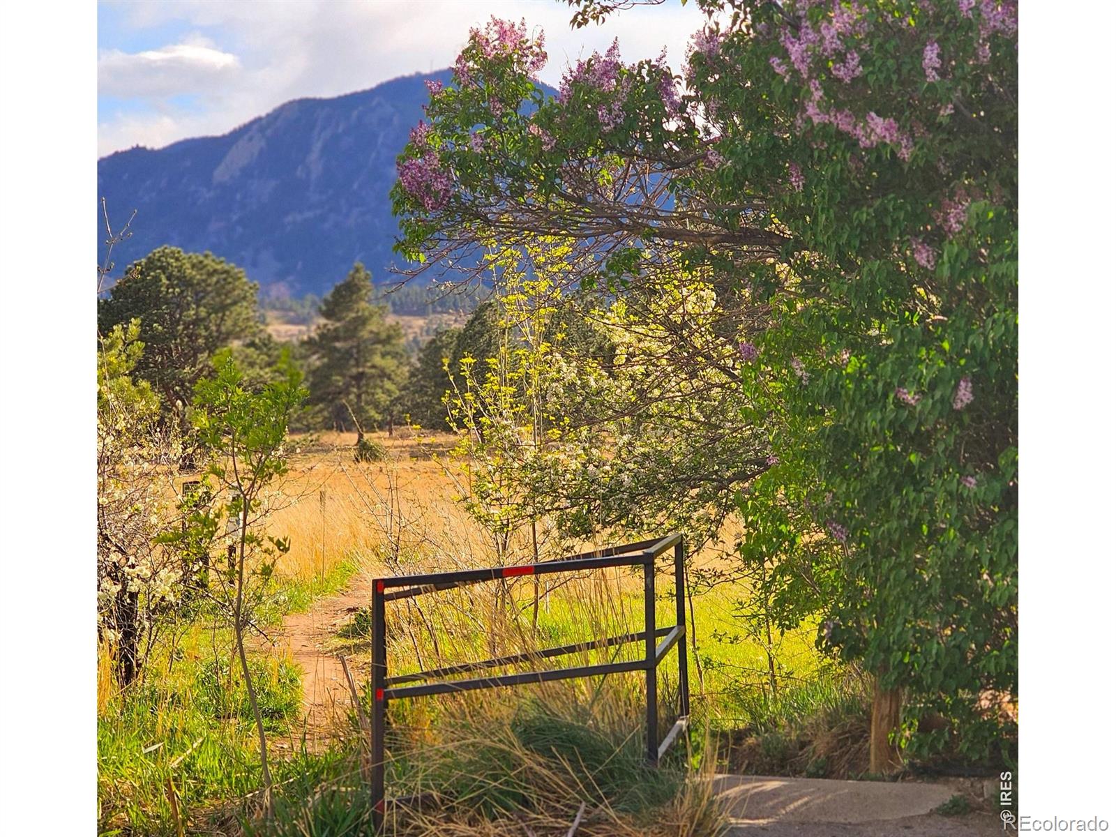 MLS Image #22 for 1360  lehigh street,boulder, Colorado