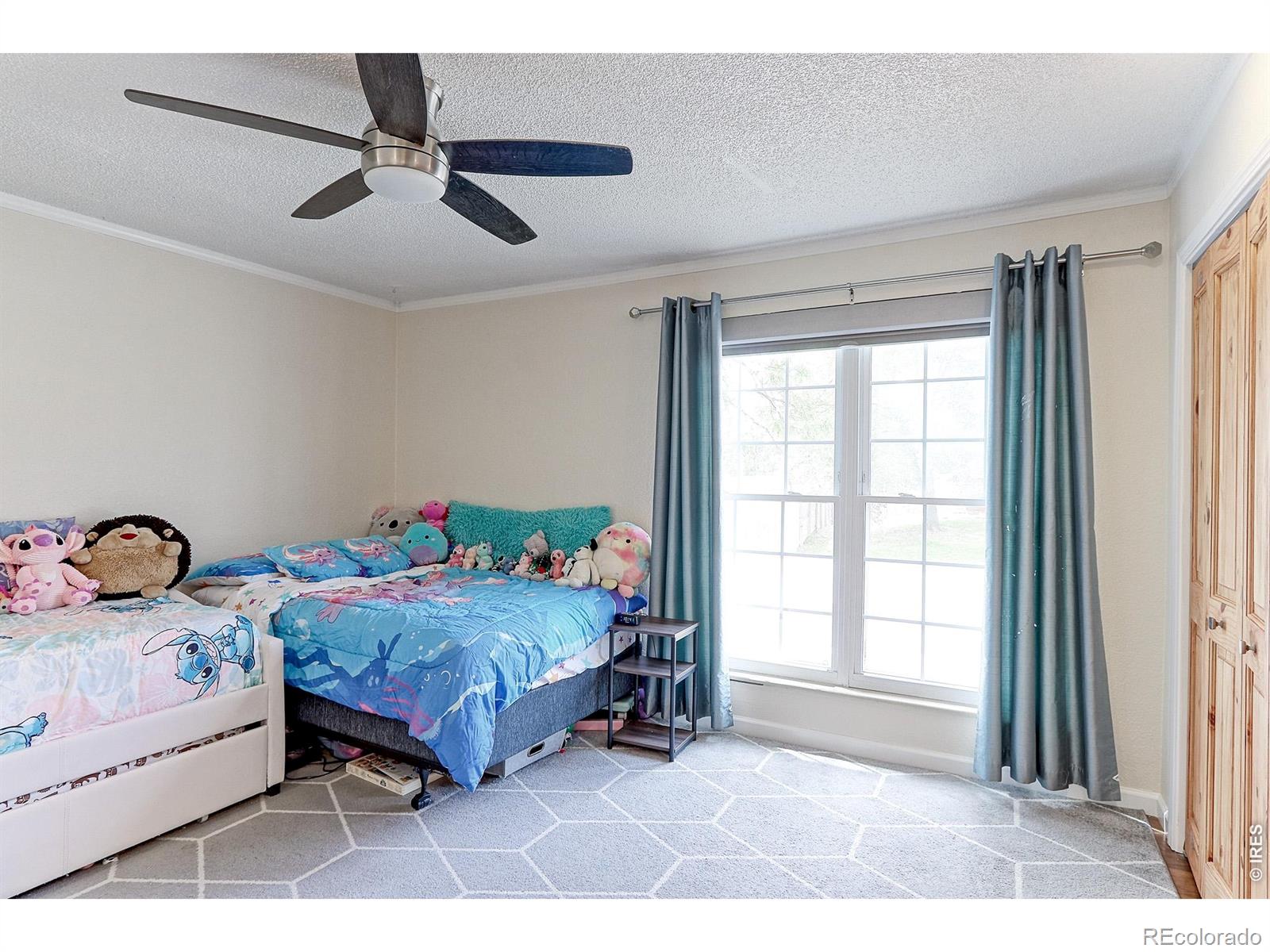 MLS Image #8 for 10939  grange creek drive,thornton, Colorado