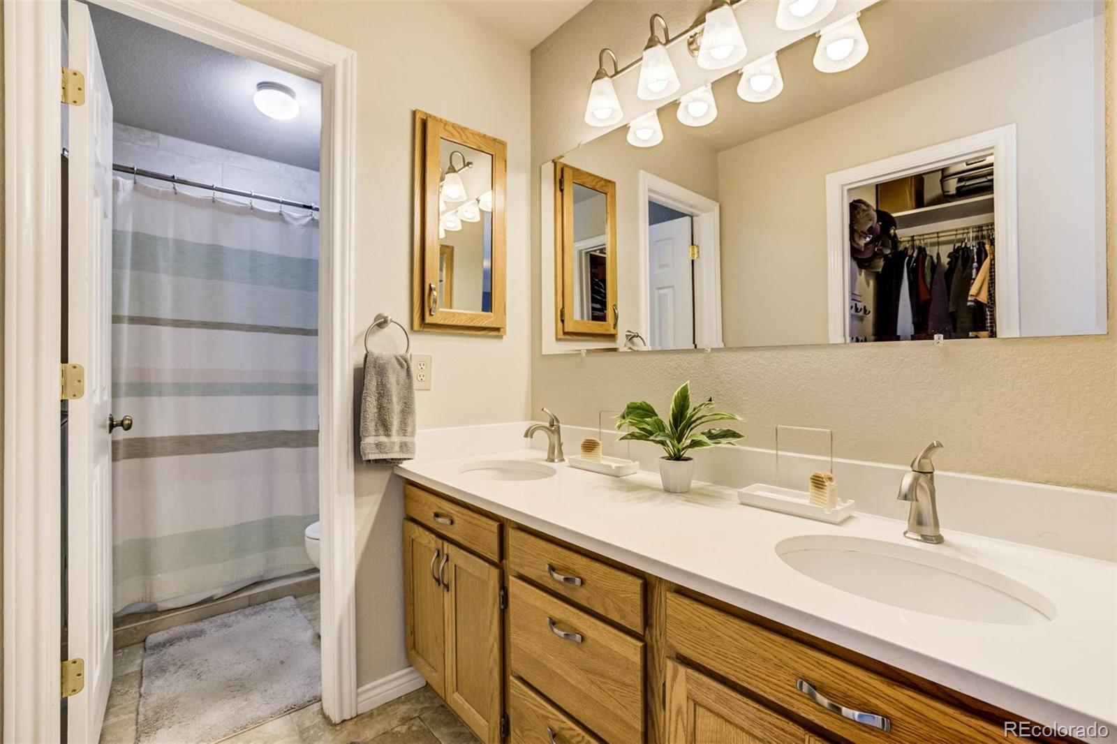 MLS Image #13 for 6555  echo ridge heights,colorado springs, Colorado