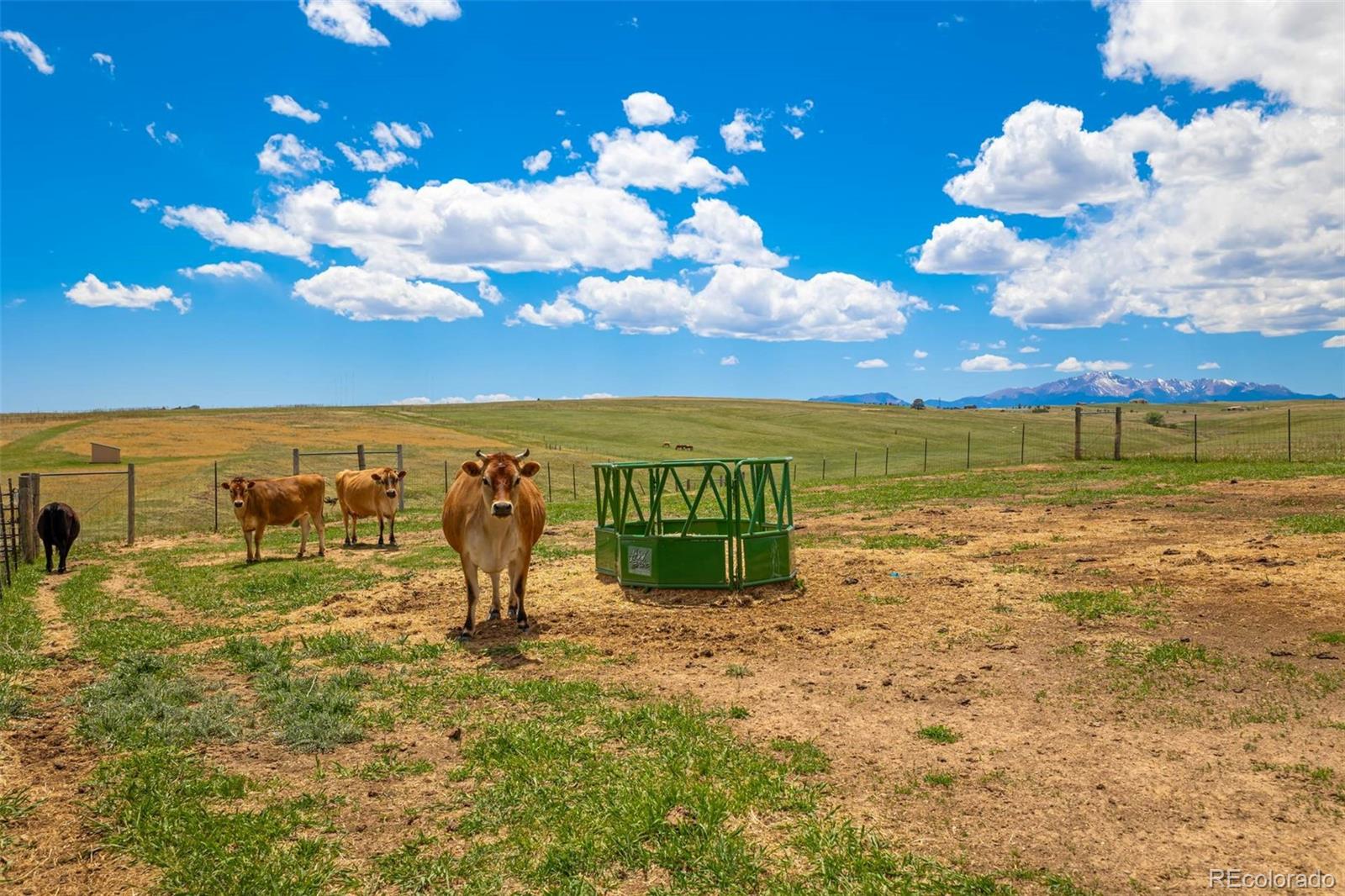 MLS Image #39 for 6555  echo ridge heights,colorado springs, Colorado