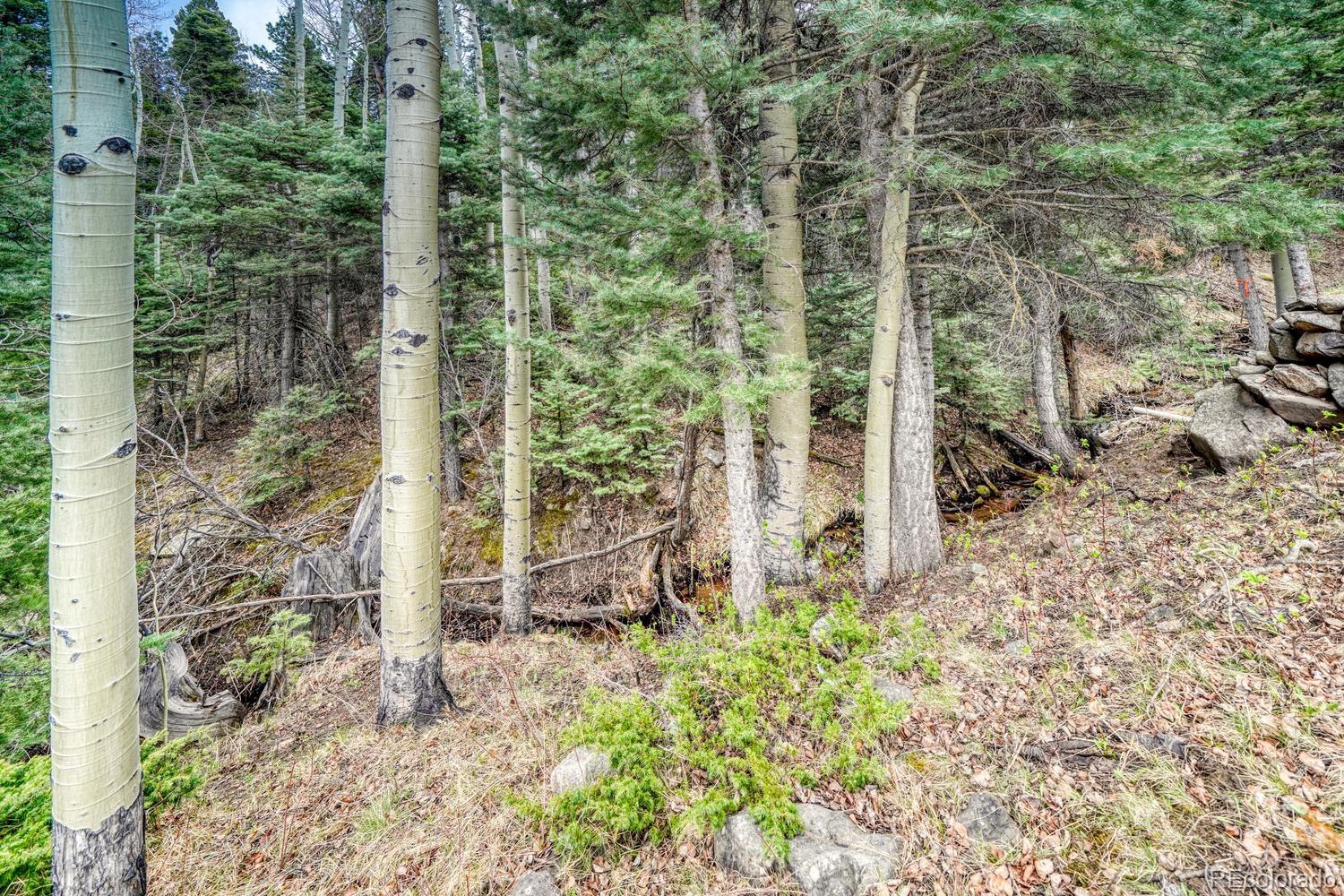 MLS Image #28 for 72  gibson road,westcliffe, Colorado