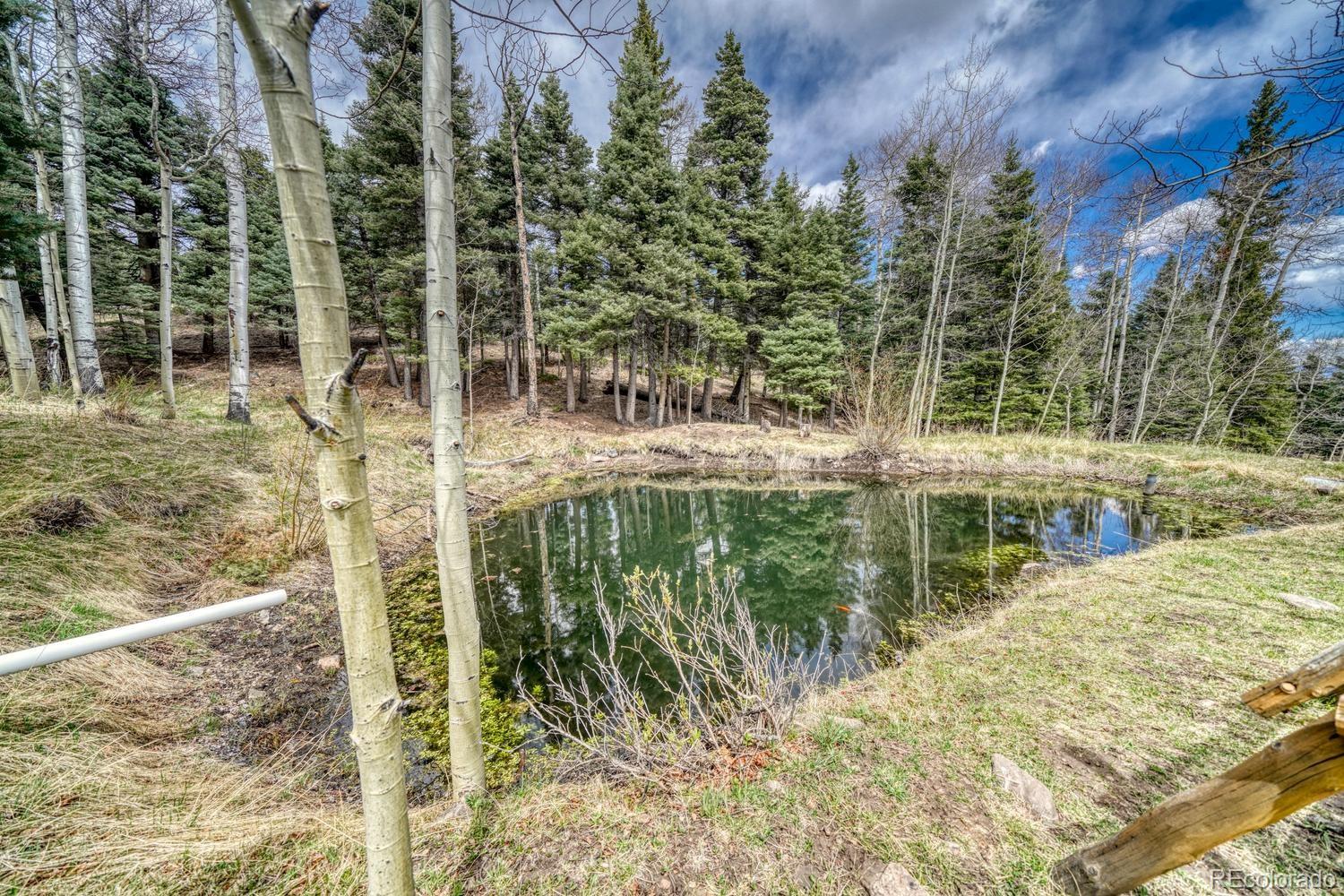 MLS Image #30 for 72  gibson road,westcliffe, Colorado