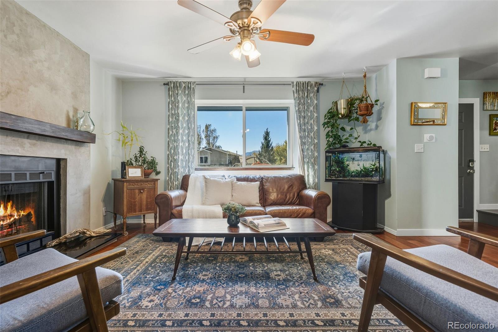 MLS Image #10 for 7169  silver torch terrace,colorado springs, Colorado