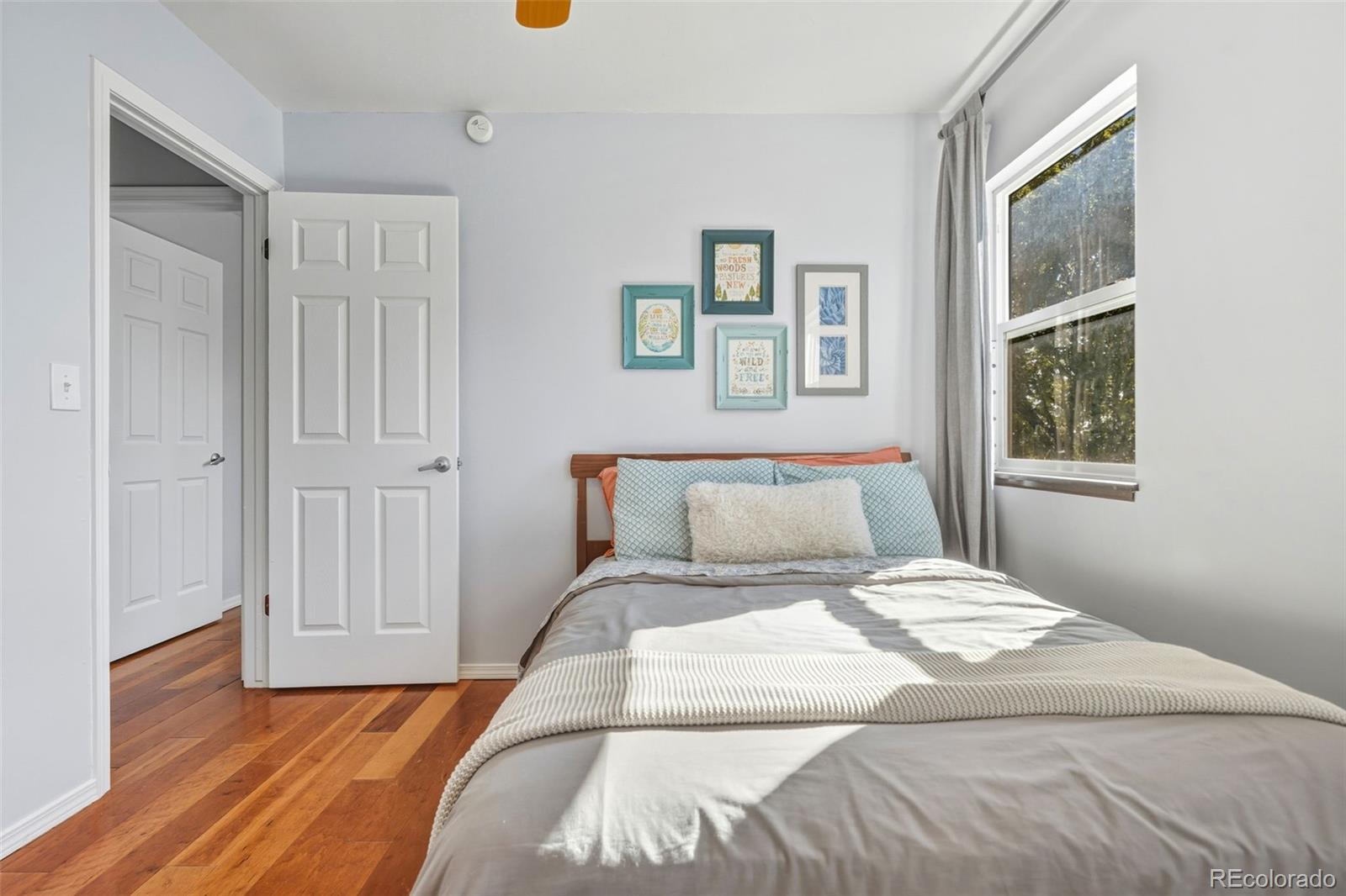 MLS Image #27 for 7169  silver torch terrace,colorado springs, Colorado