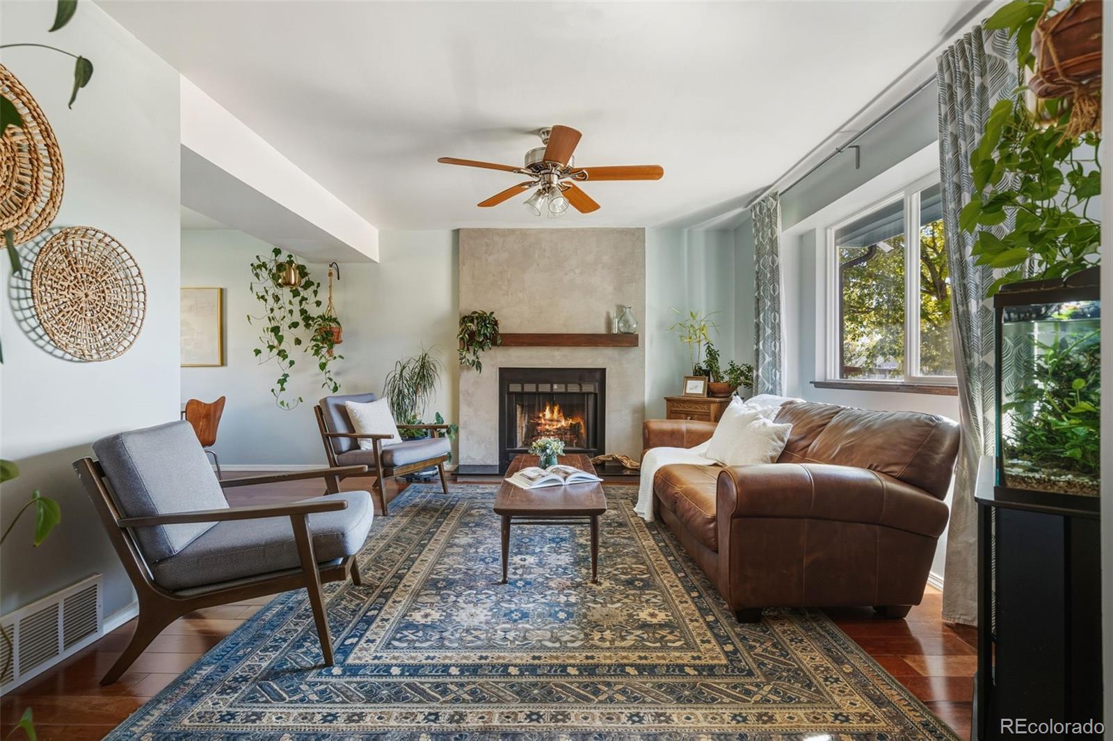 MLS Image #4 for 7169  silver torch terrace,colorado springs, Colorado