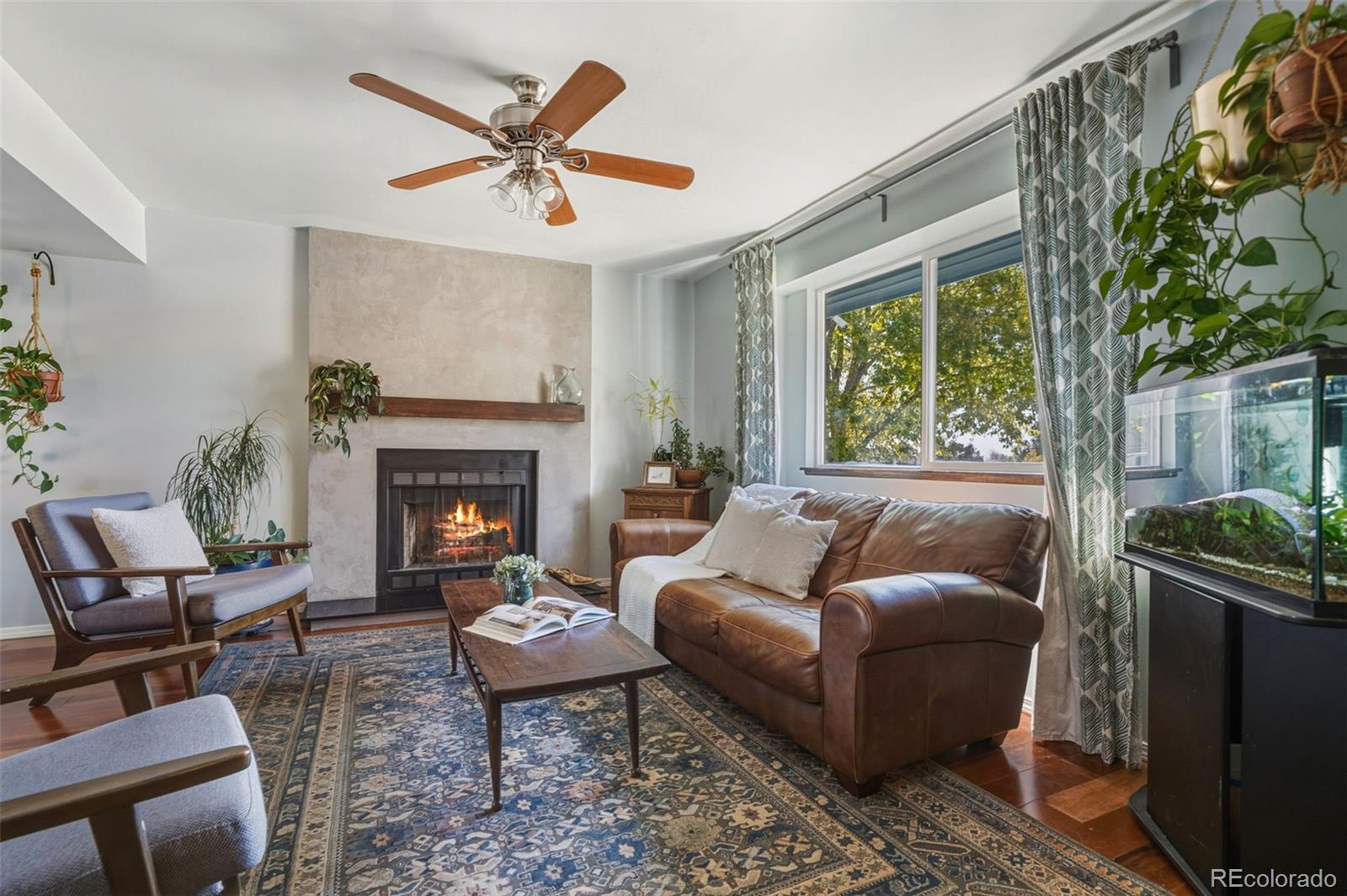 MLS Image #5 for 7169  silver torch terrace,colorado springs, Colorado