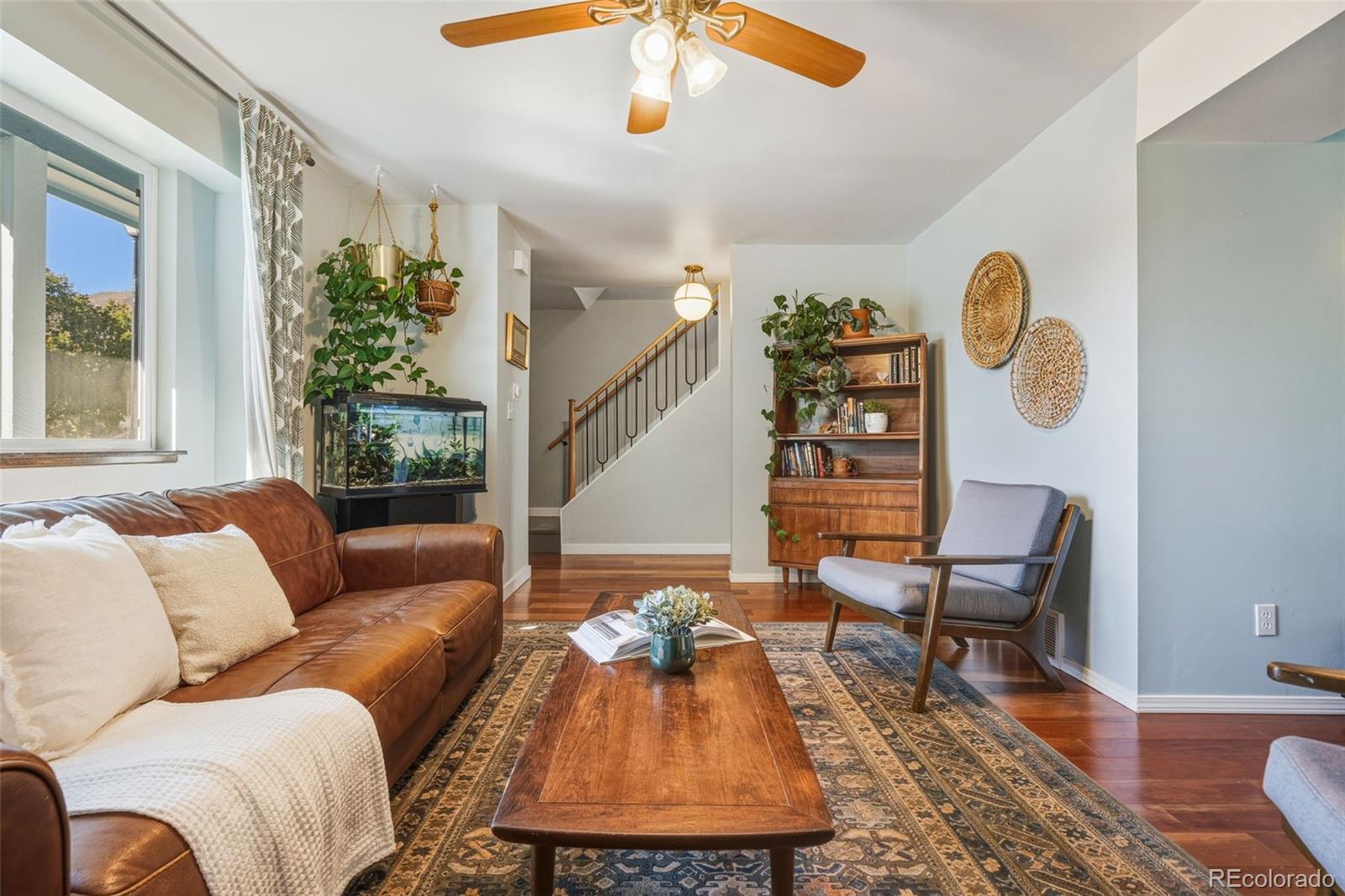 MLS Image #8 for 7169  silver torch terrace,colorado springs, Colorado