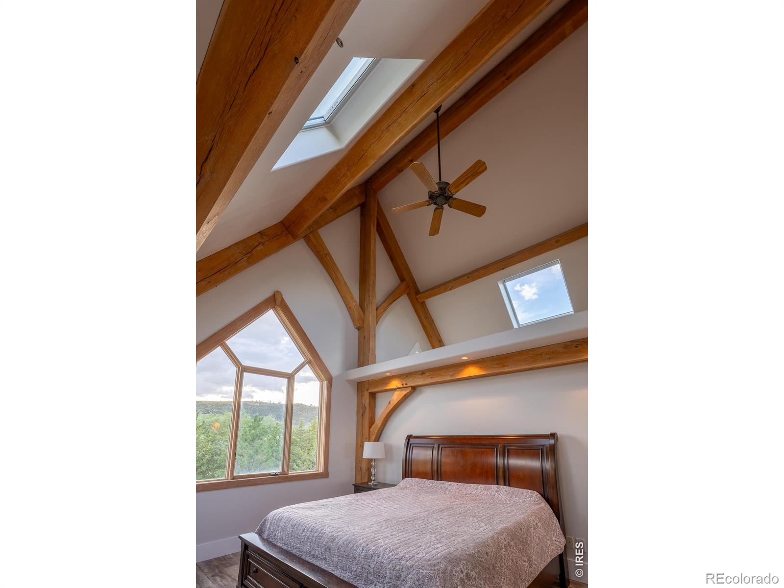 MLS Image #12 for 4099  michaud lane,fort collins, Colorado