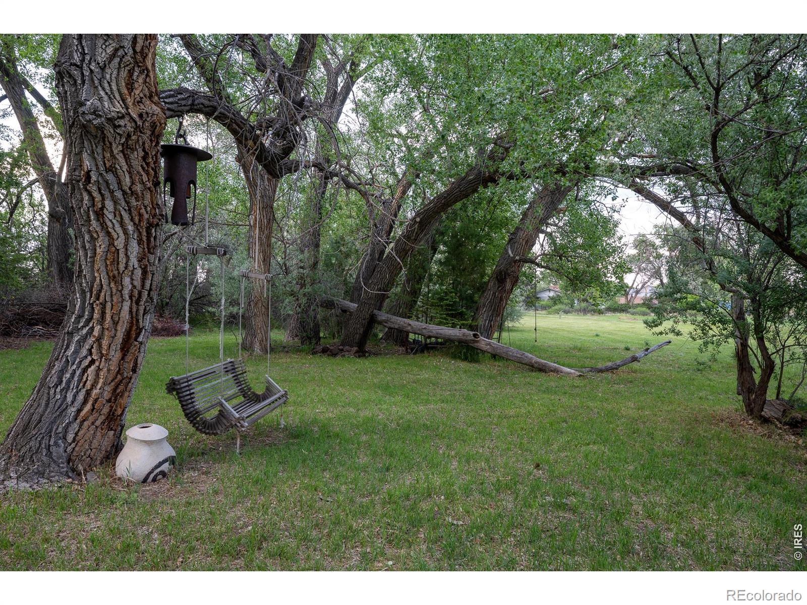 MLS Image #42 for 4099  michaud lane,fort collins, Colorado
