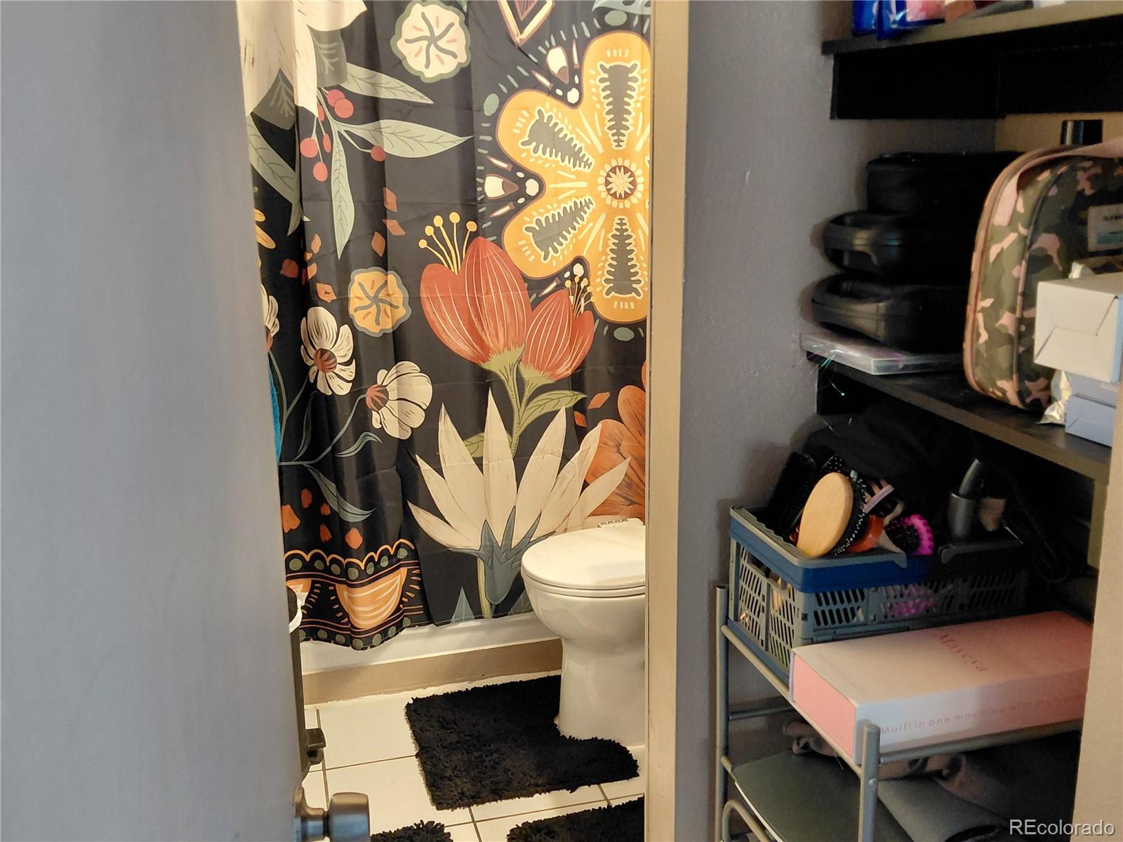 MLS Image #26 for 318  ash street,hudson, Colorado