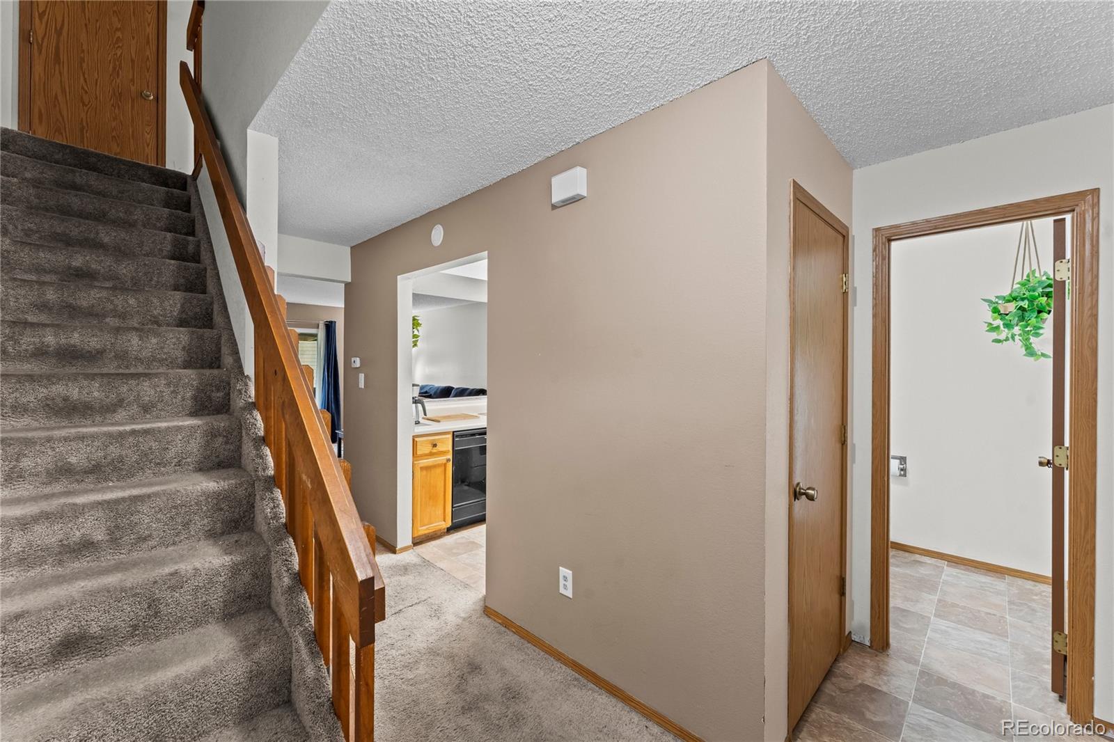 MLS Image #3 for 4273  hunting meadows circle,colorado springs, Colorado