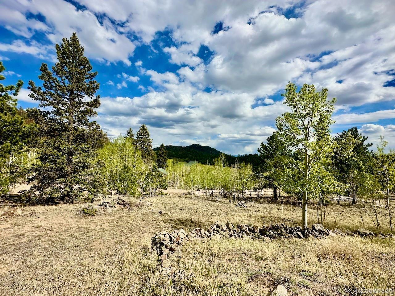 MLS Image #43 for 312  bowstring road,como, Colorado