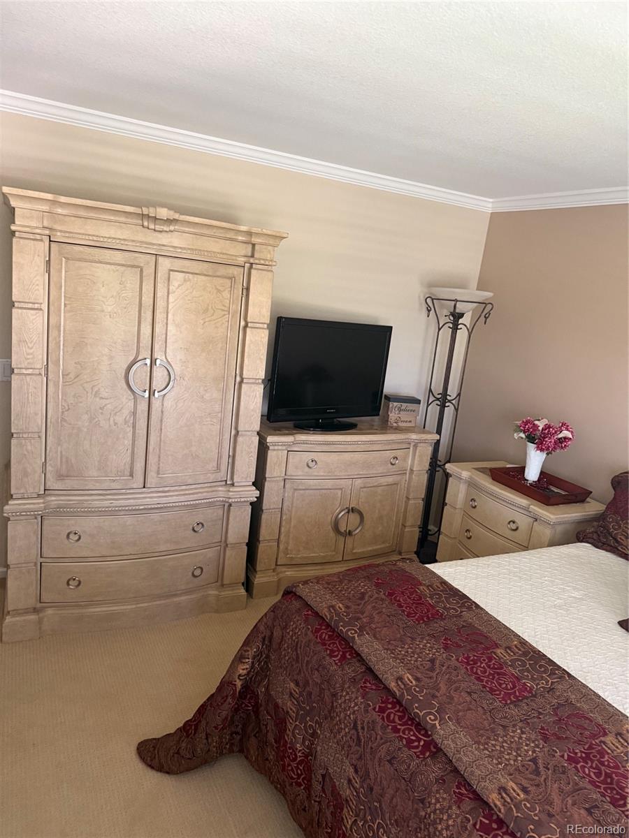 MLS Image #14 for 11090  night heron drive,parker, Colorado