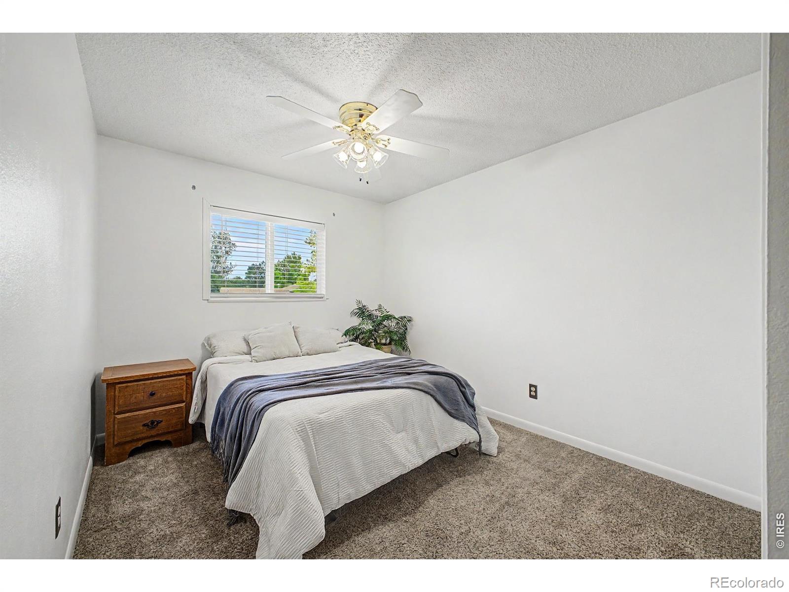 MLS Image #10 for 2421  34th avenue,greeley, Colorado