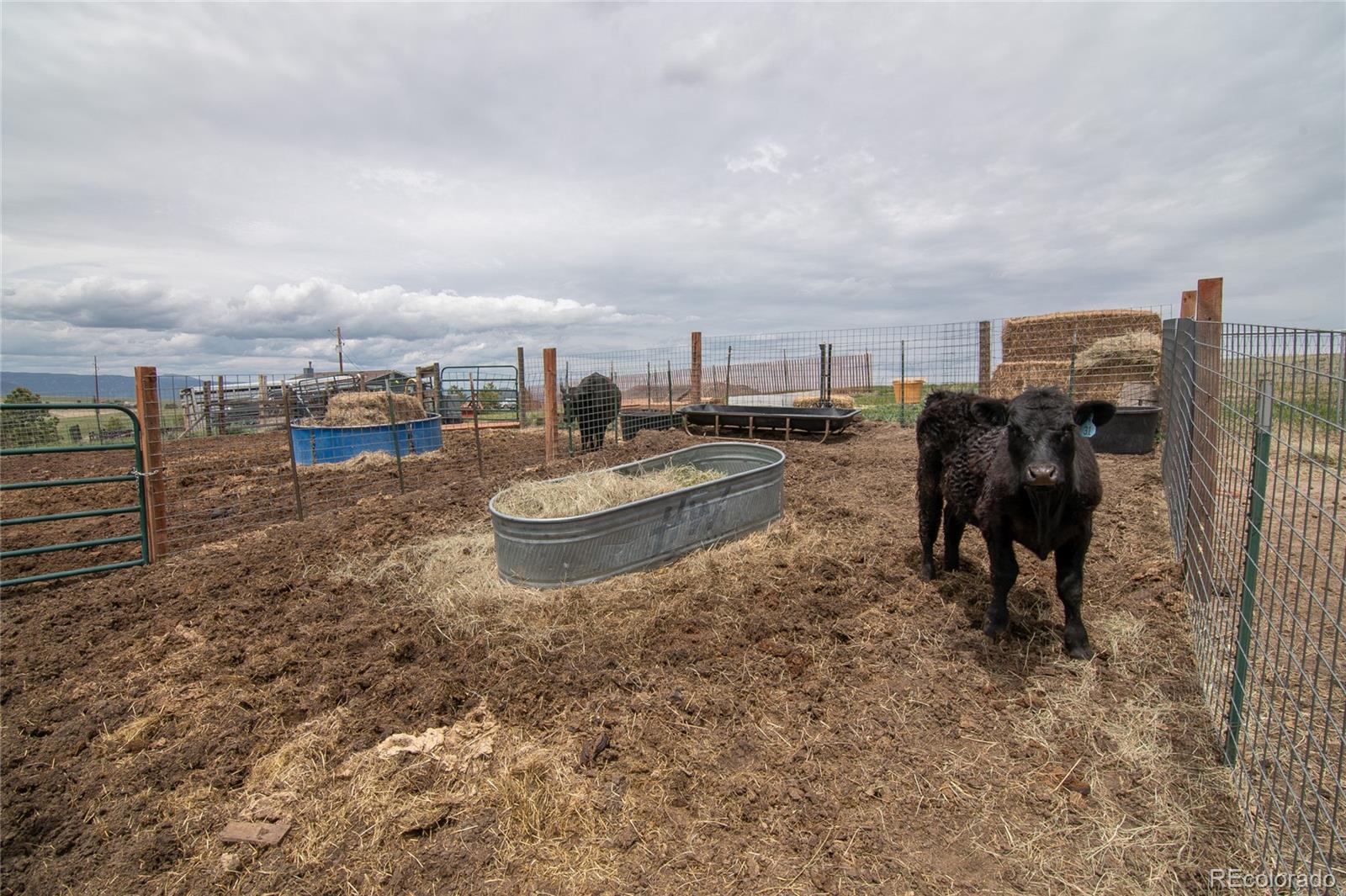MLS Image #39 for 4531  best road,larkspur, Colorado