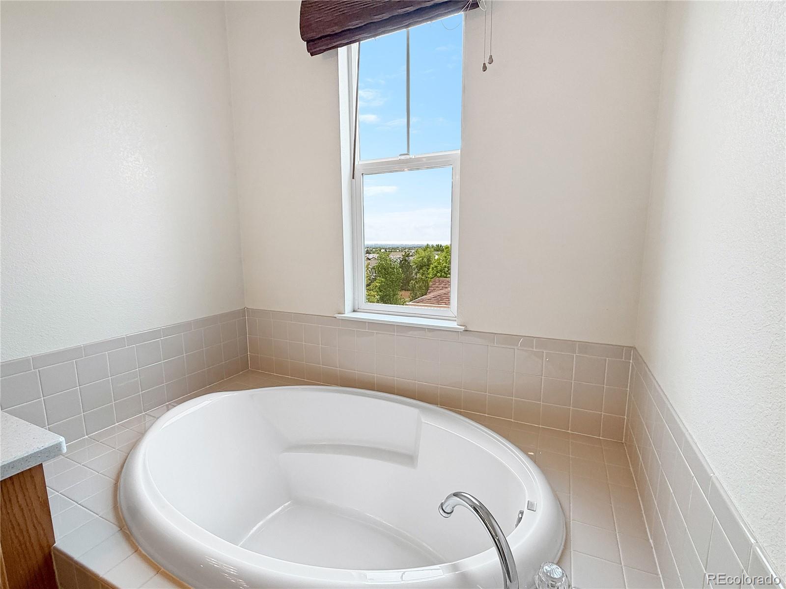 MLS Image #17 for 10521  ashfield street 4d,highlands ranch, Colorado