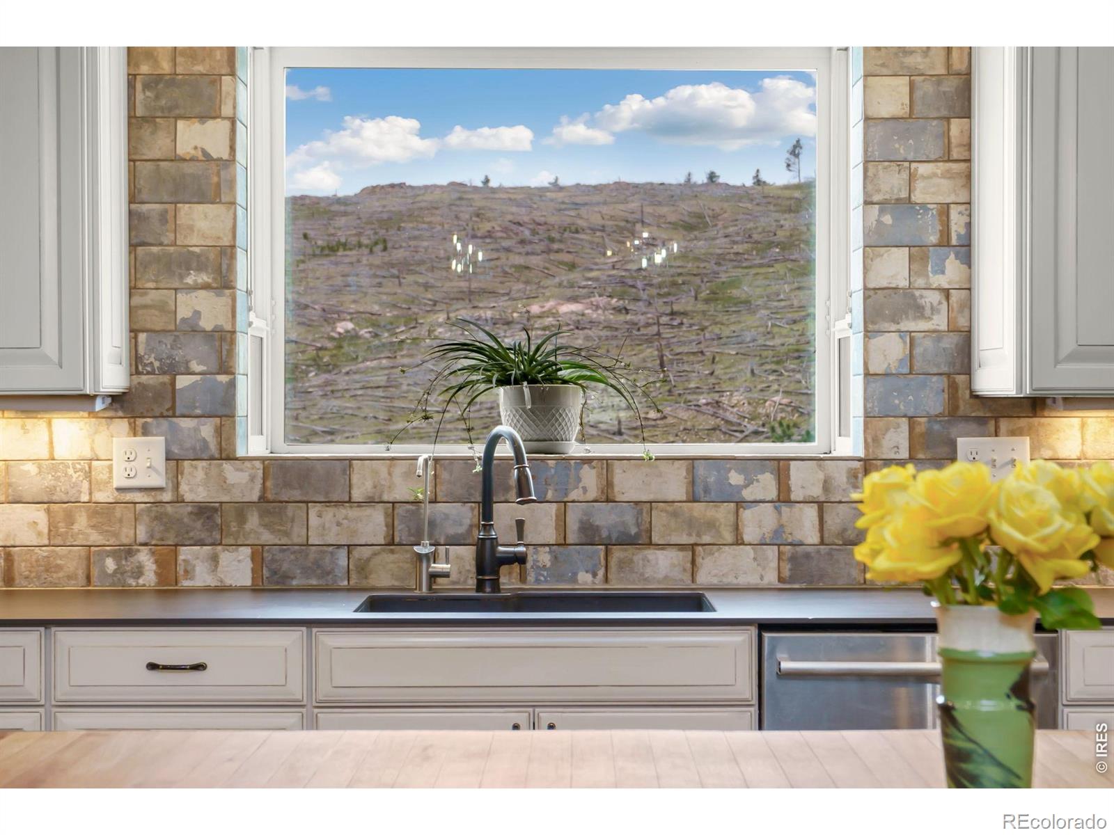 MLS Image #3 for 2051  stove prairie road,bellvue, Colorado