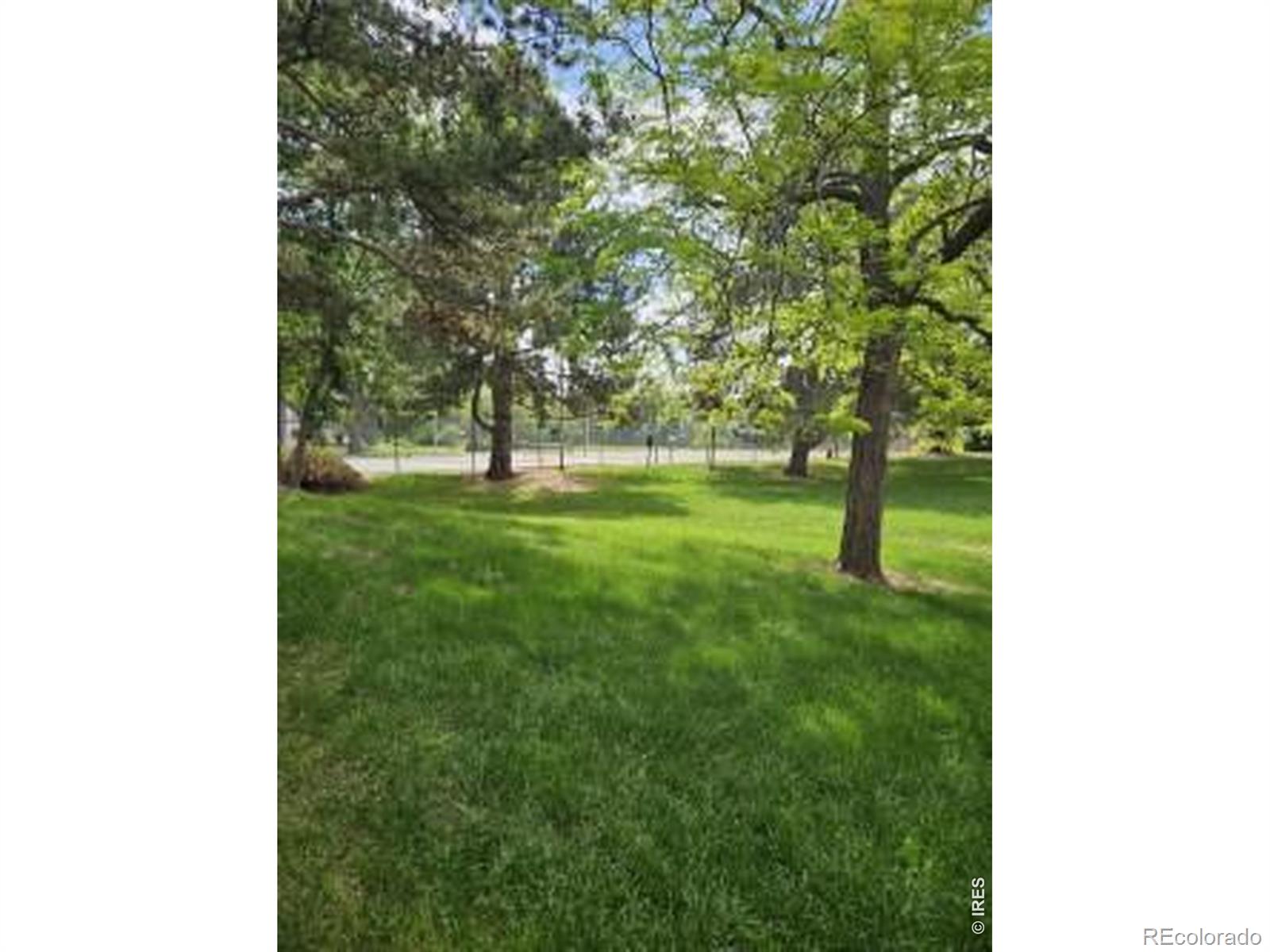 MLS Image #13 for 925  columbia road,fort collins, Colorado