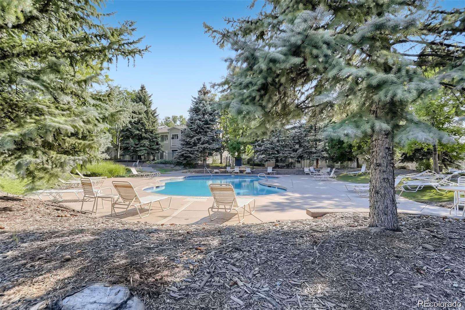 MLS Image #21 for 8365  pebble creek way,highlands ranch, Colorado
