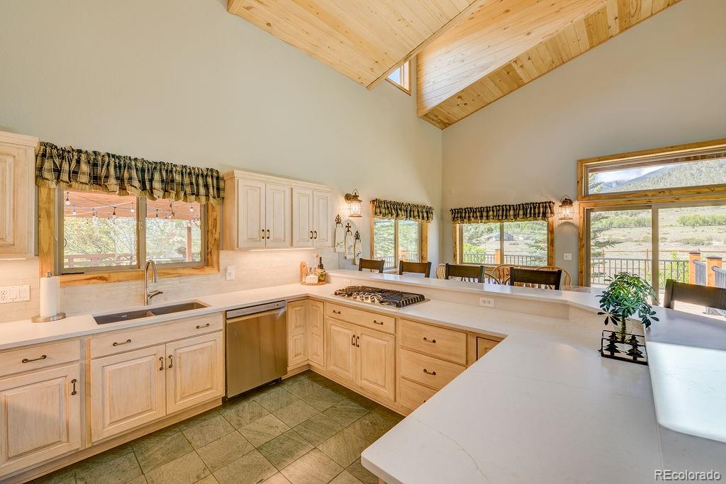 MLS Image #11 for 27100  county road 342 ,buena vista, Colorado