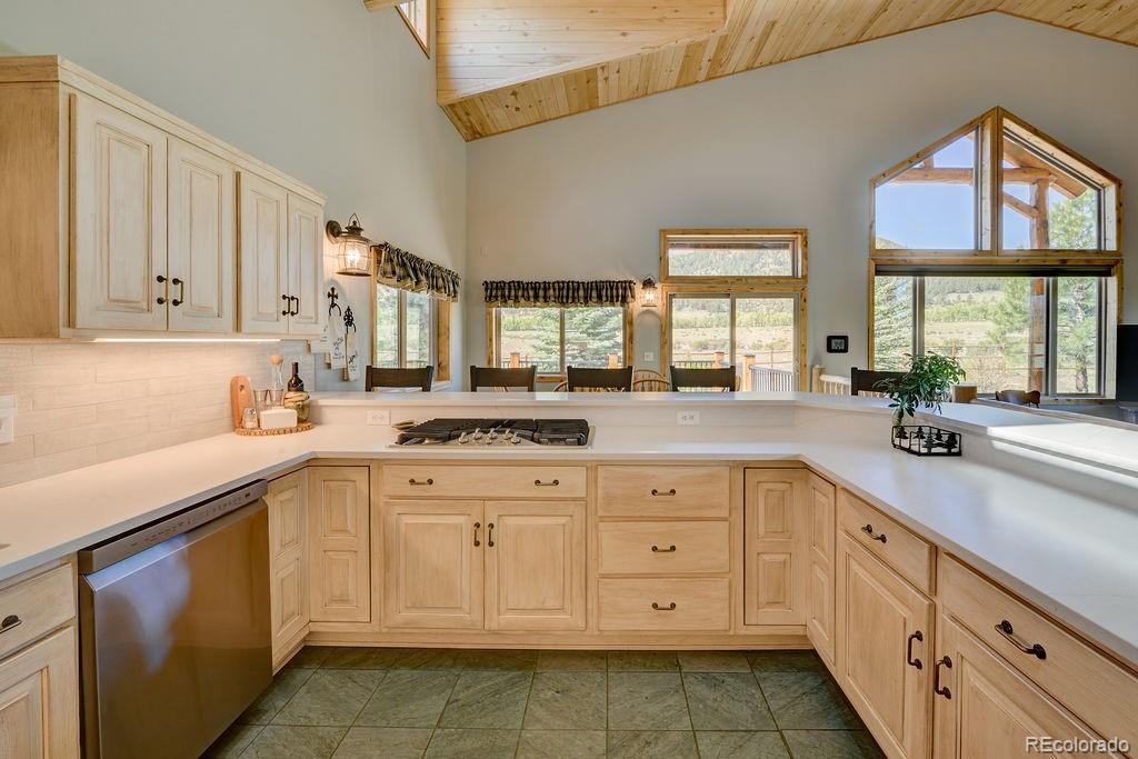 MLS Image #13 for 27100  county road 342 ,buena vista, Colorado