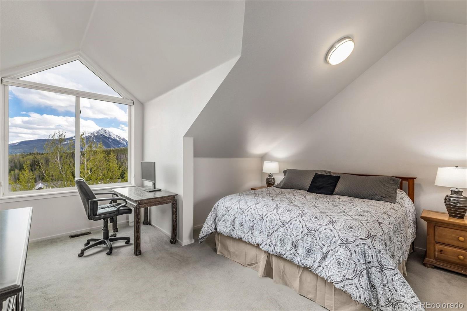 MLS Image #14 for 21  deborah lane,silverthorne, Colorado