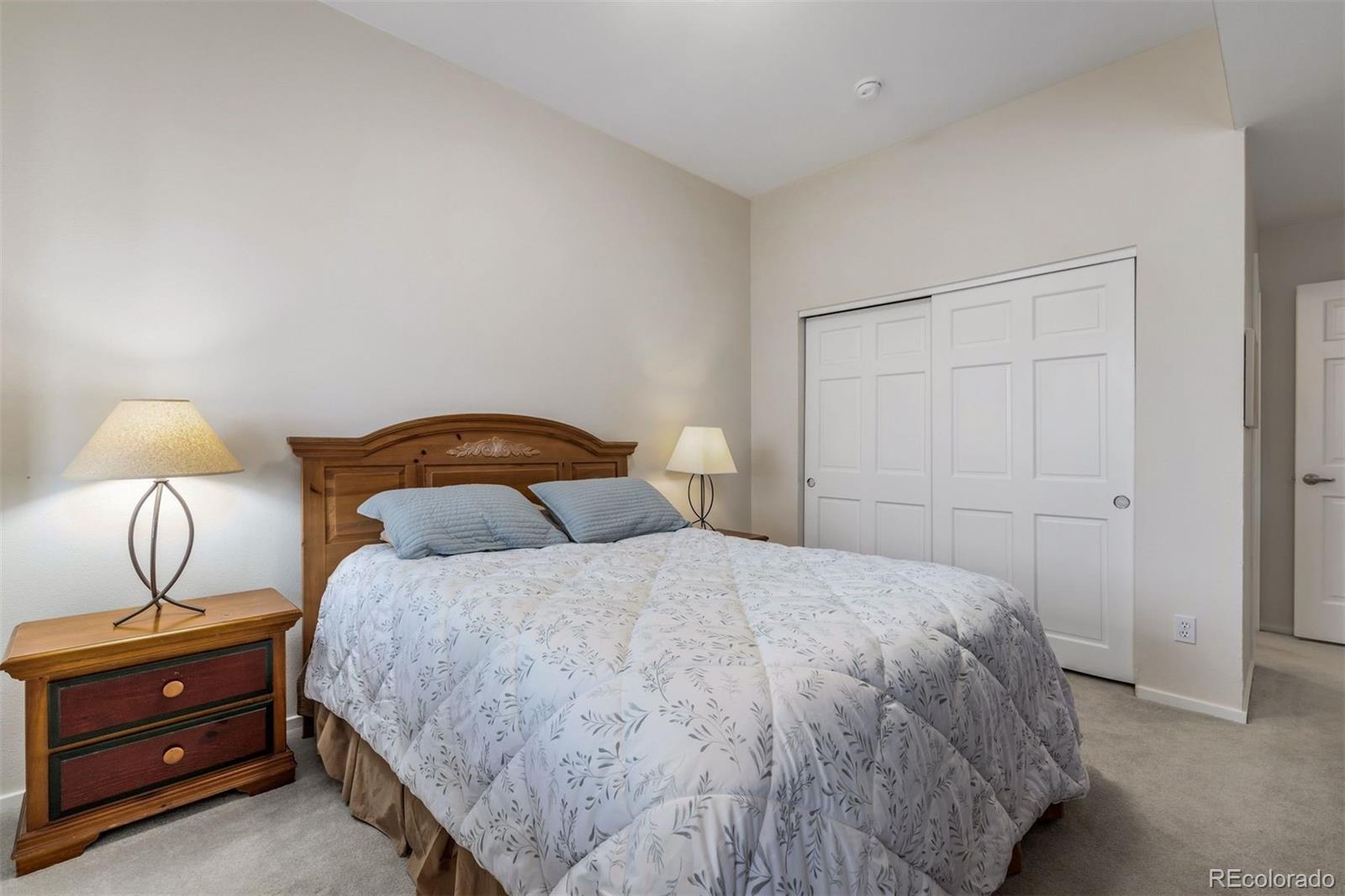 MLS Image #26 for 21  deborah lane,silverthorne, Colorado