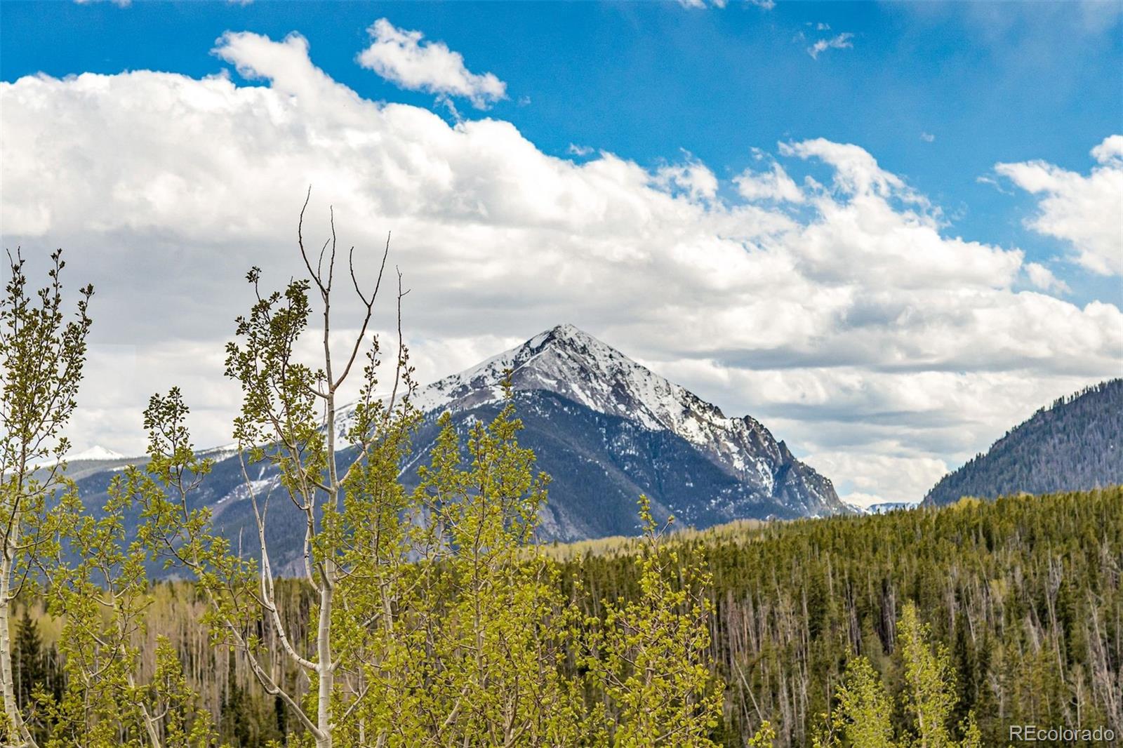 MLS Image #3 for 21  deborah lane,silverthorne, Colorado