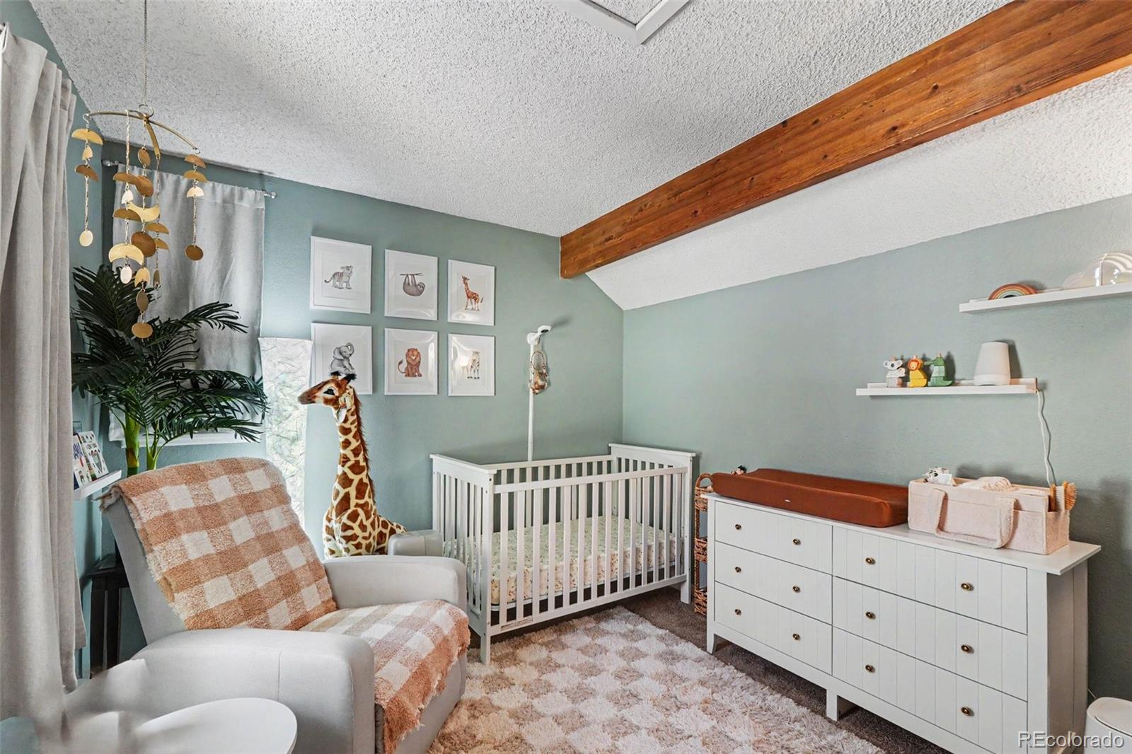 MLS Image #18 for 9875  iris street,broomfield, Colorado