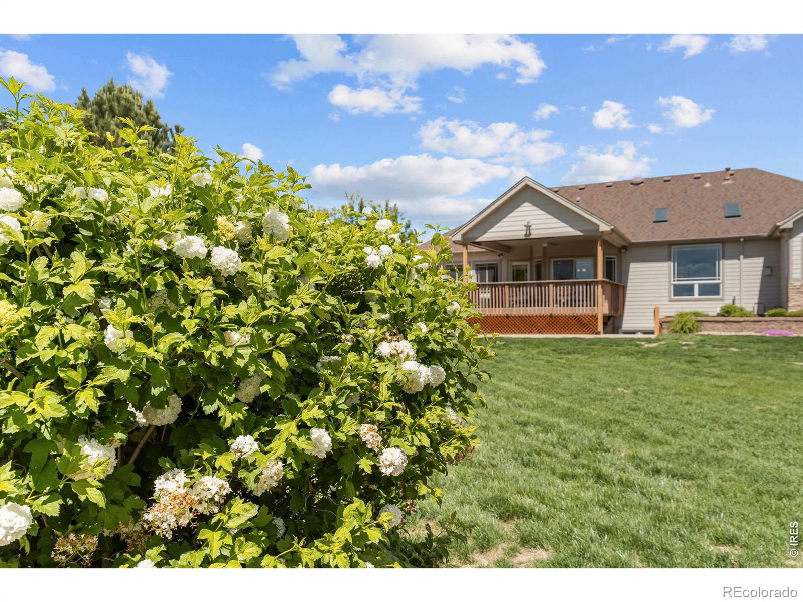 MLS Image #24 for 2024  trail ridge circle,severance, Colorado
