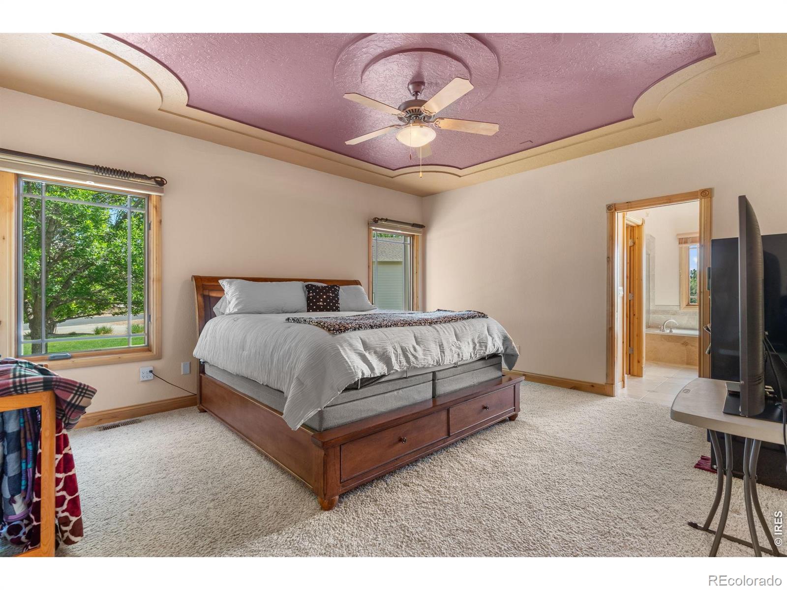 MLS Image #40 for 2024  trail ridge circle,severance, Colorado