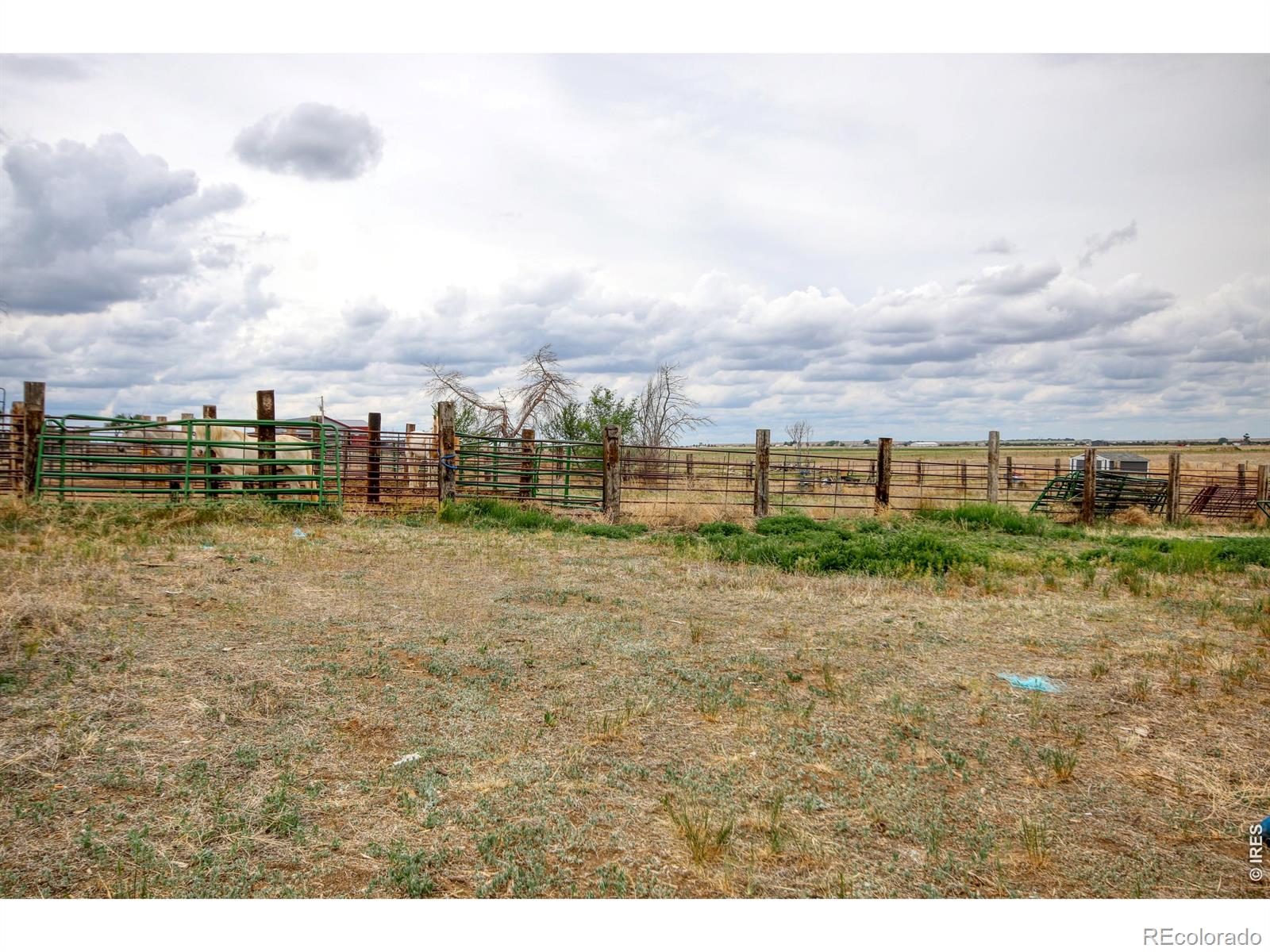 MLS Image #35 for 7513  county road 6 ,wiggins, Colorado