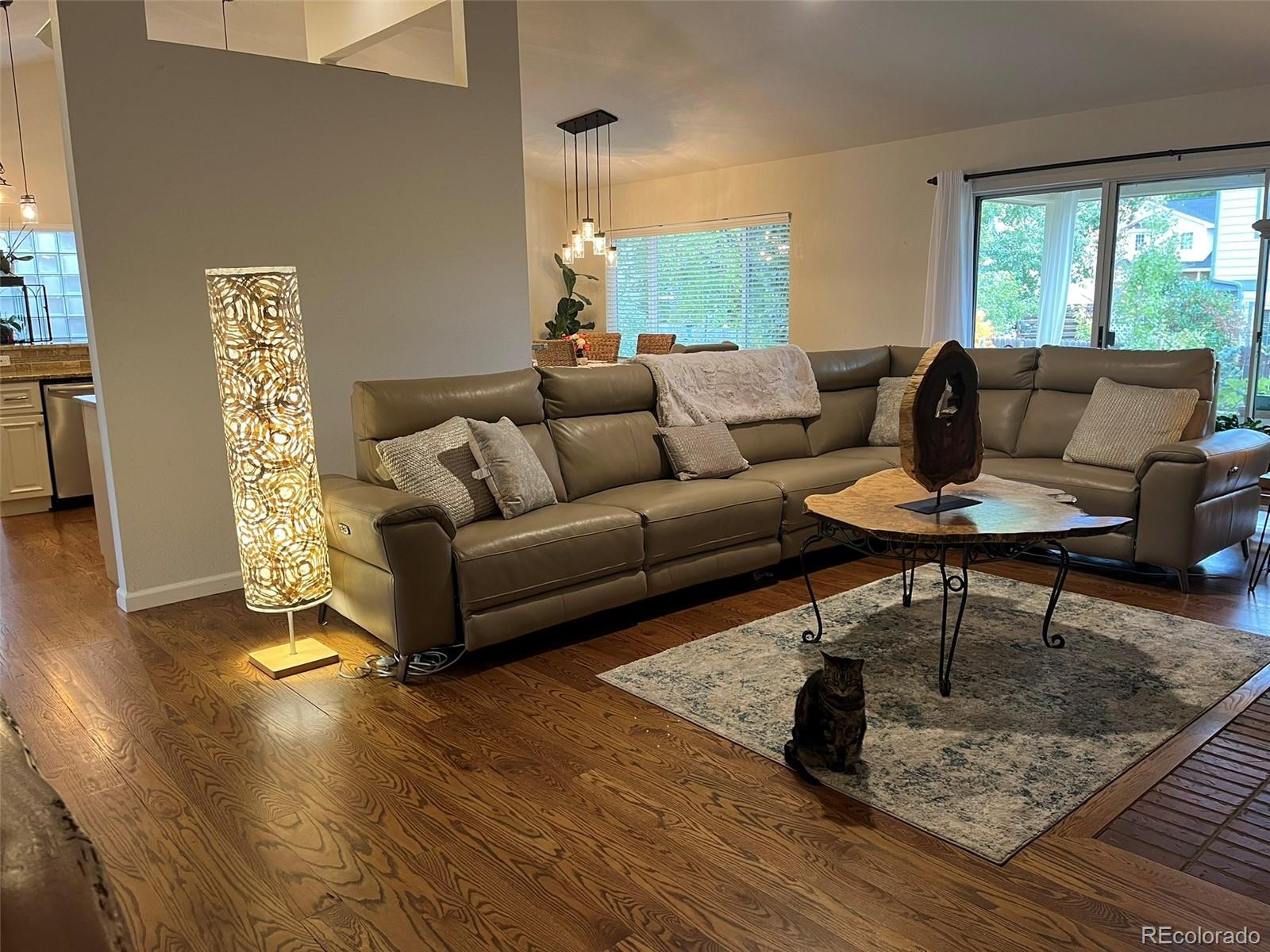 MLS Image #4 for 10025  teton court,lone tree, Colorado