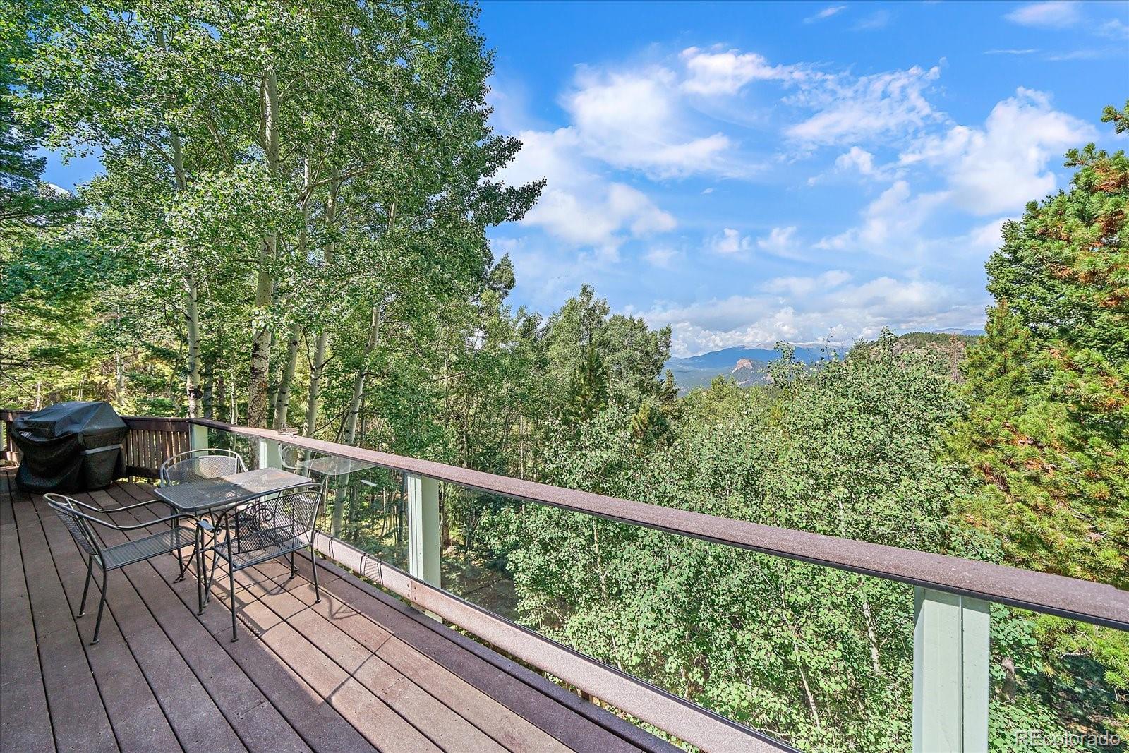 MLS Image #25 for 11471  marks drive,conifer, Colorado