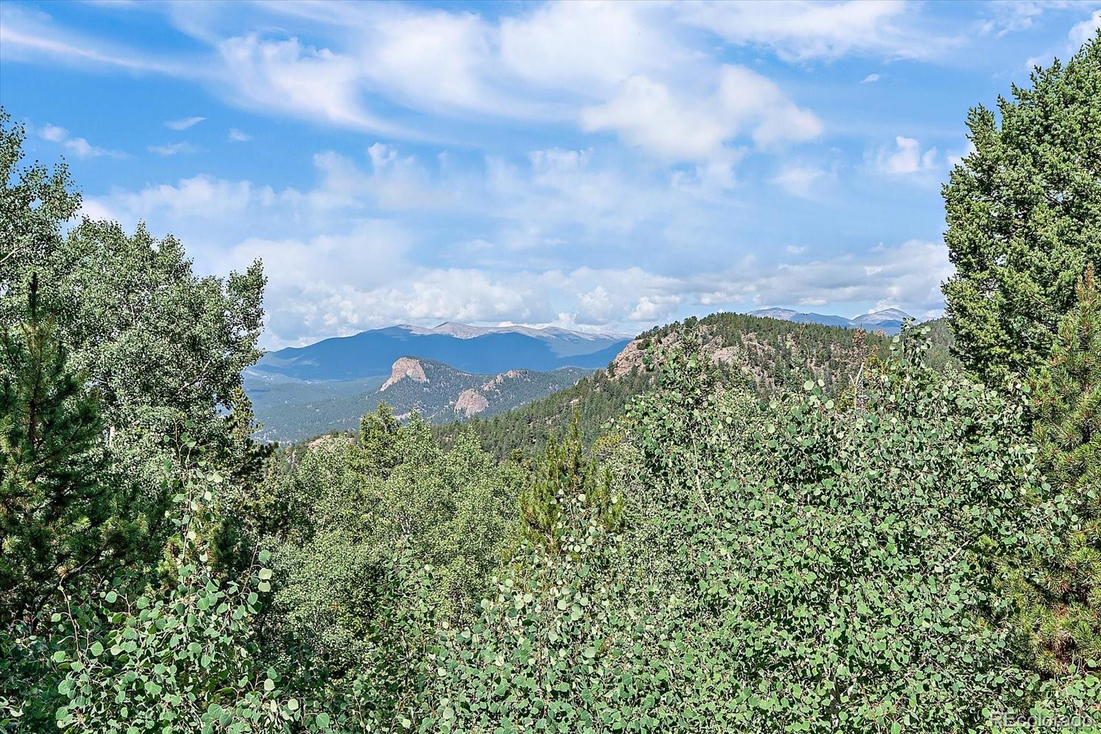 MLS Image #26 for 11471  marks drive,conifer, Colorado